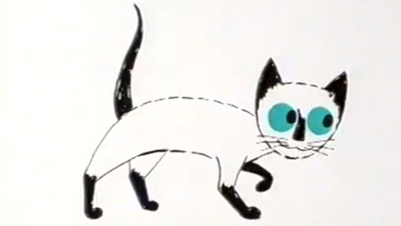 Pussycat with the Blue Eyes Background