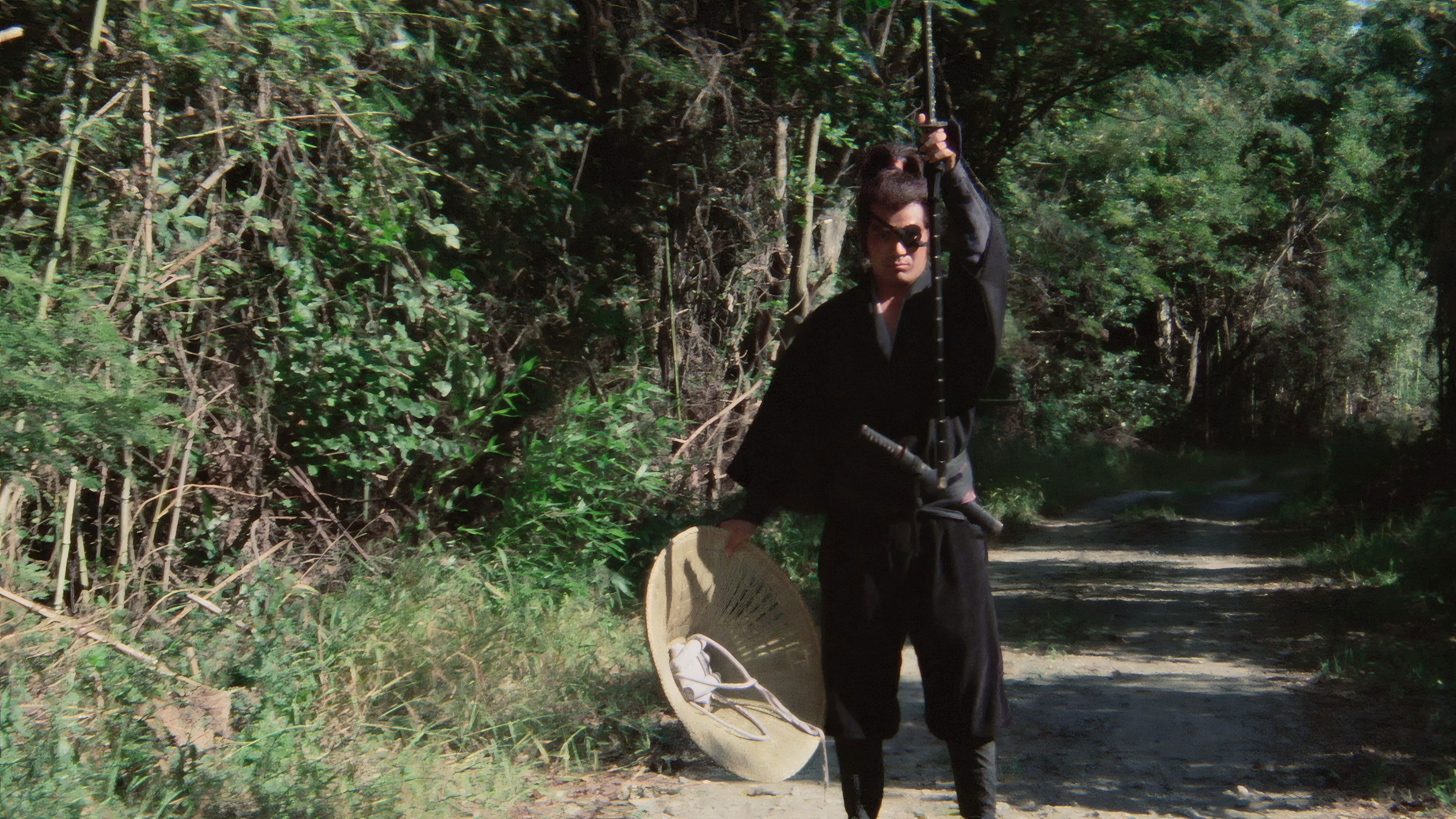 Shogun's Samurai Background