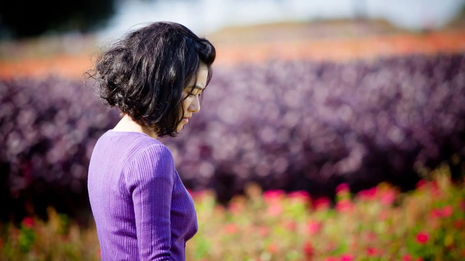 含苞欲墜的每一天 Background