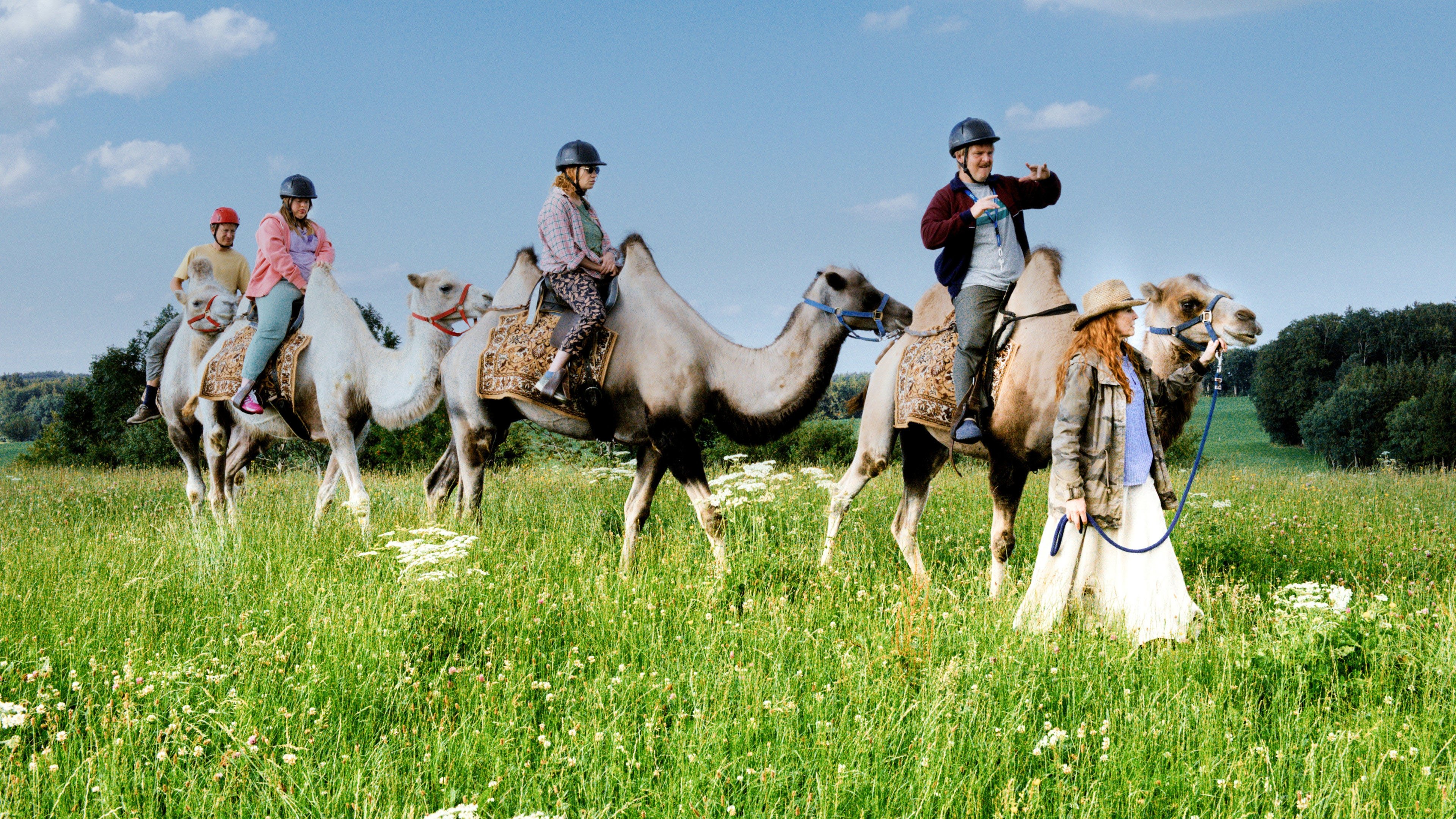 The Goldfish Background