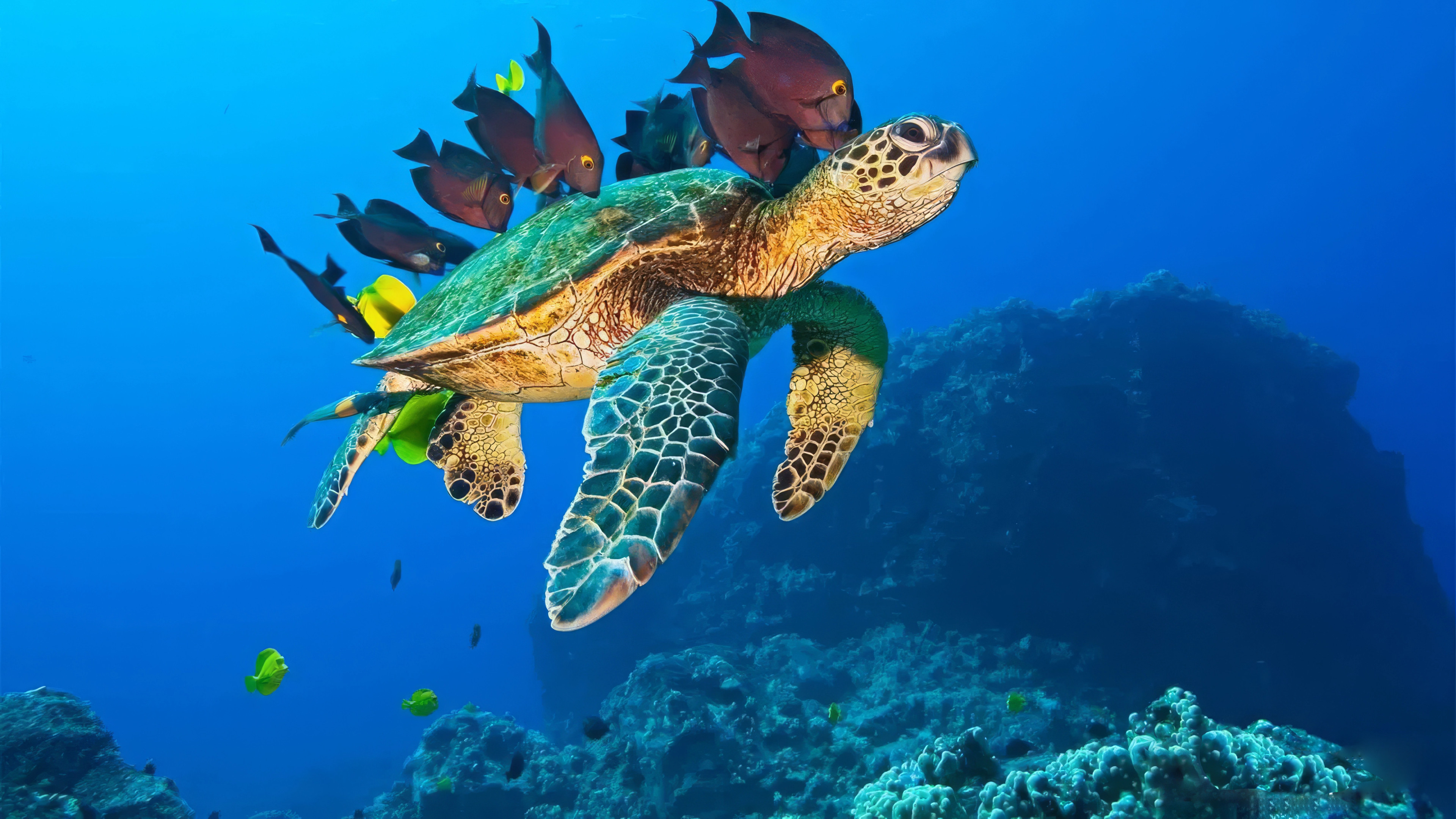 OceanWorld 3D Background