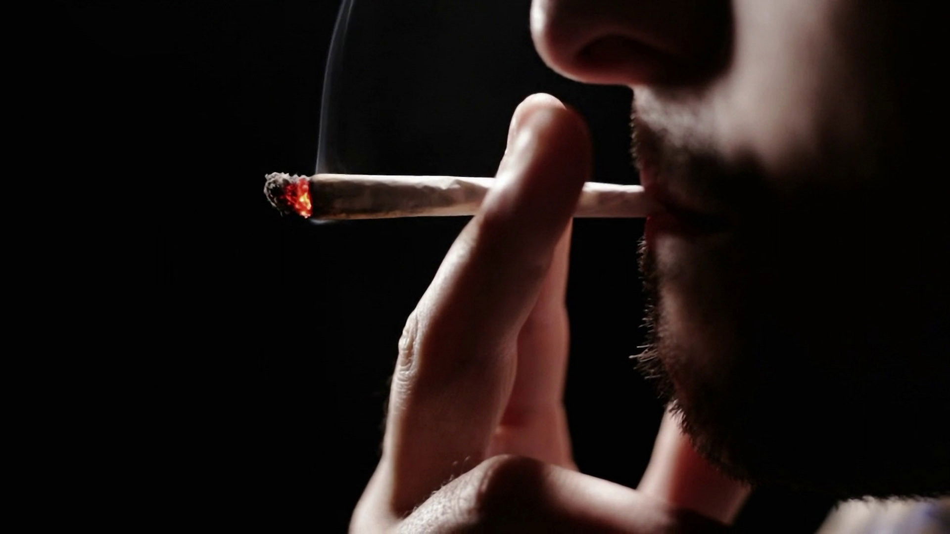 How Drugs Work Background