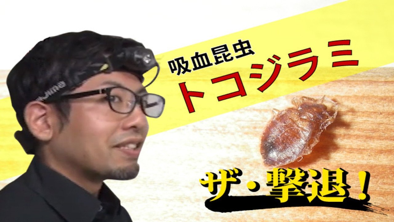 ザ・撃退! Background