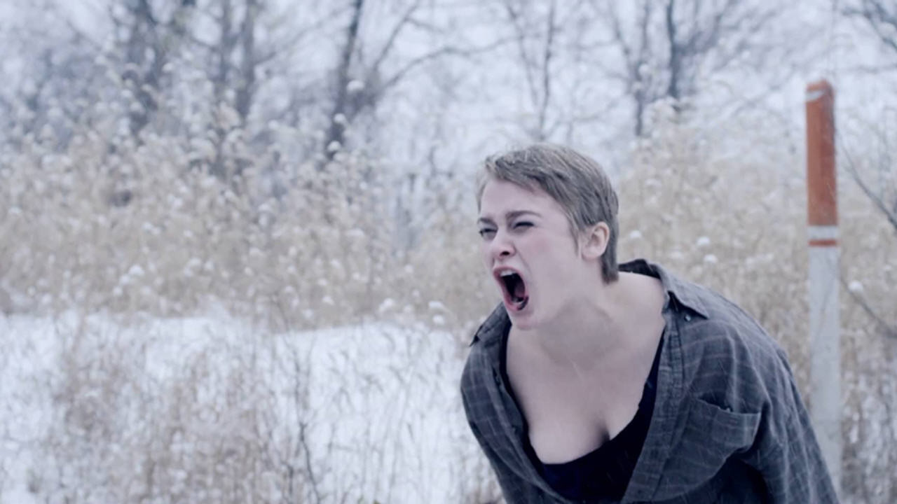 Huckleberry Background