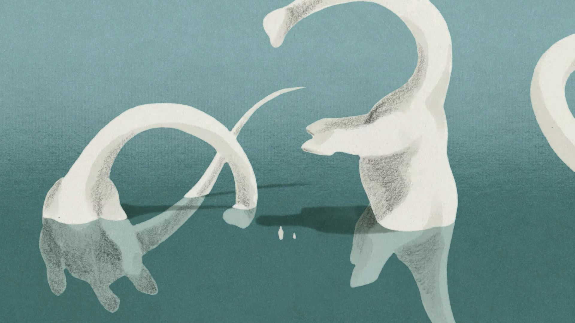 Scutes on my mind Background