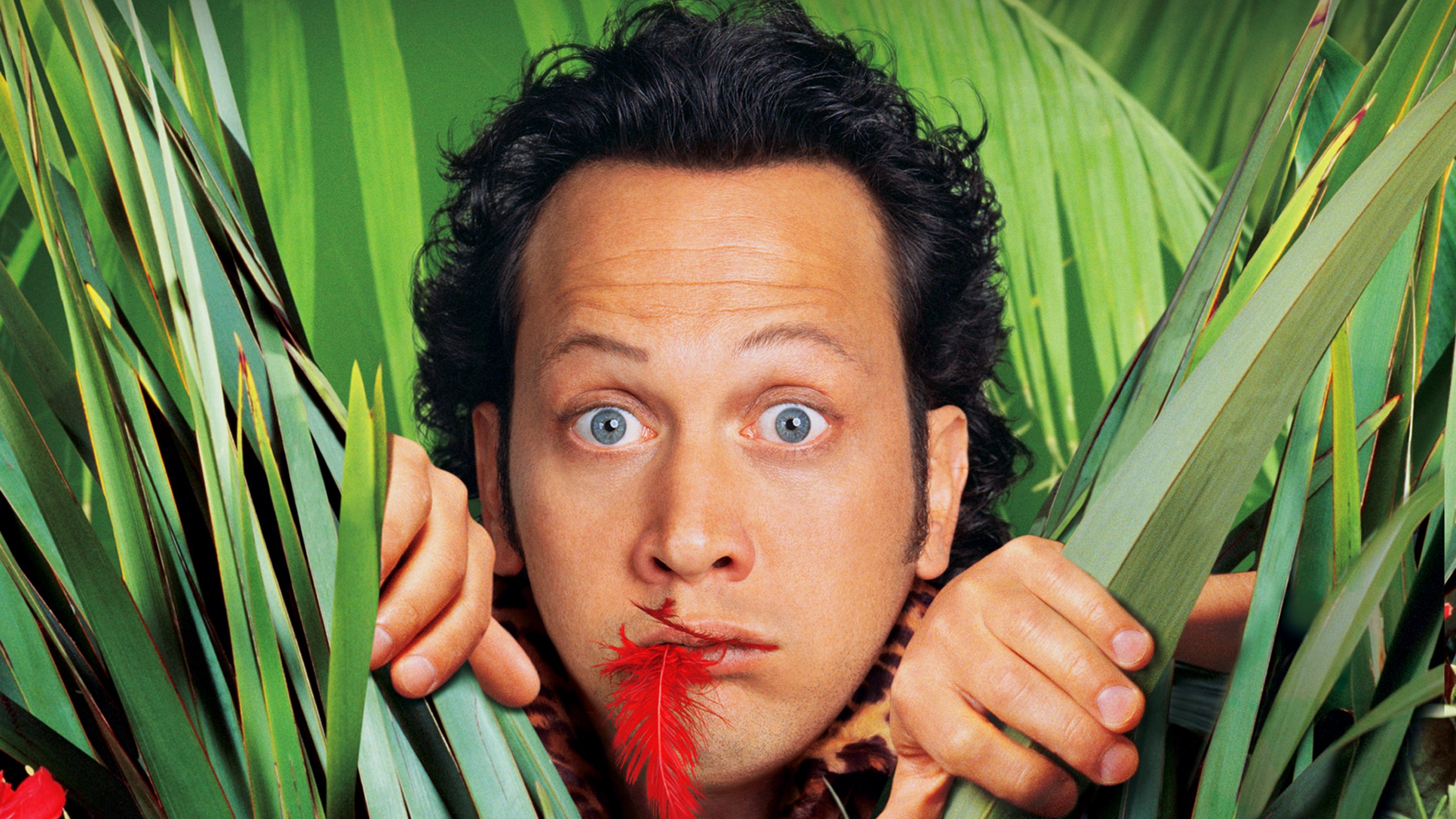 The Animal Background