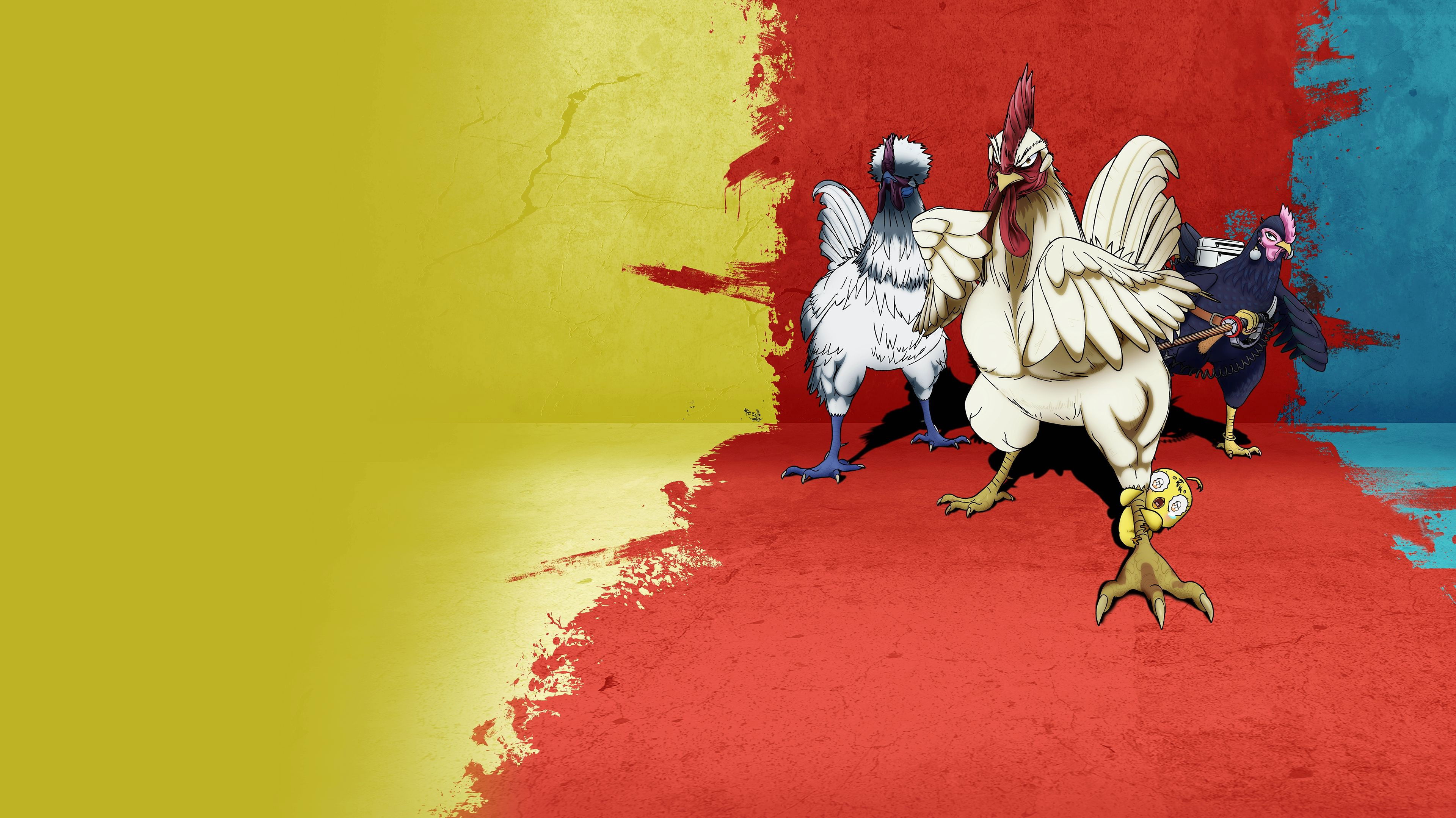 Rooster Fighter Background
