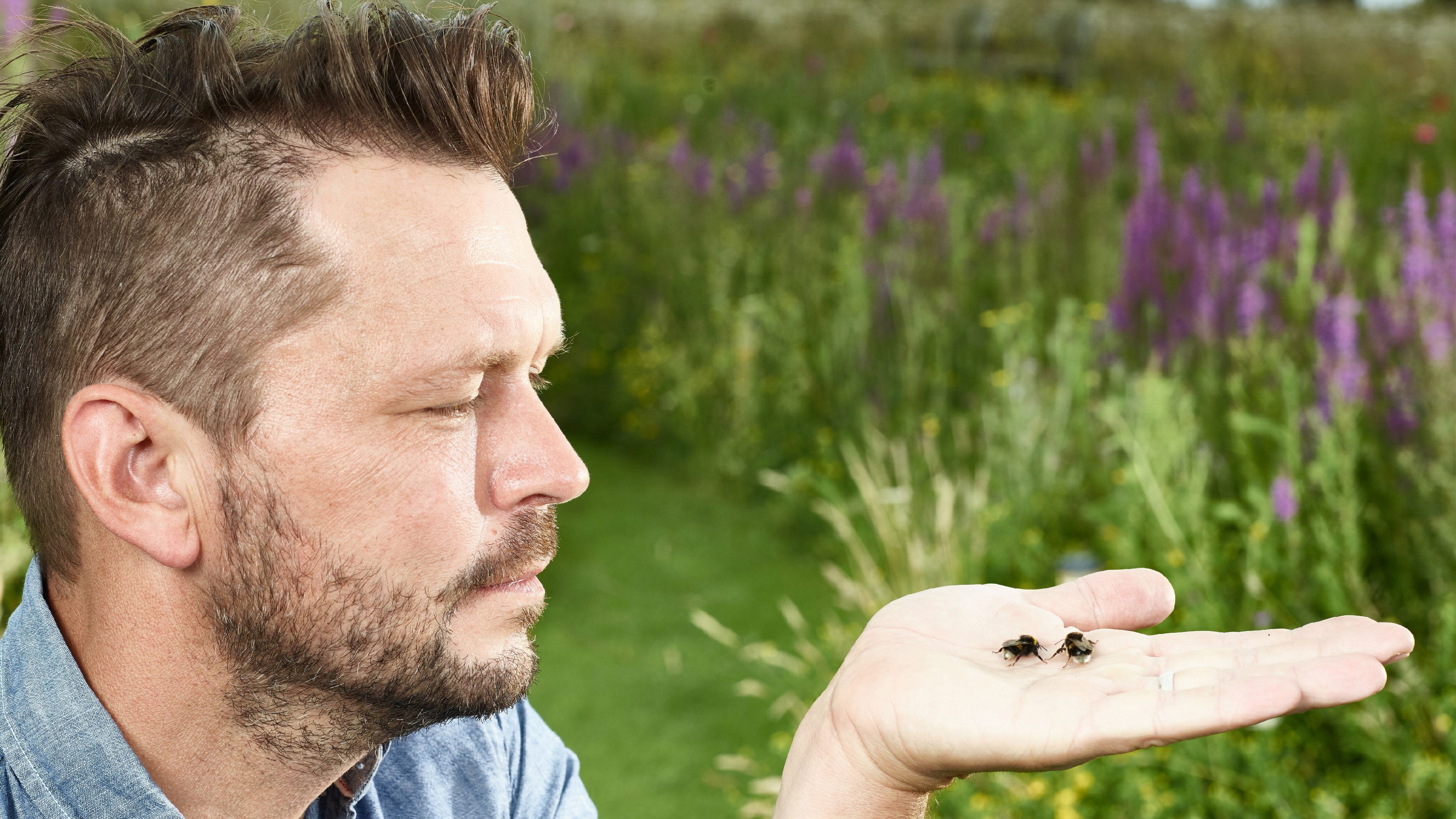 Jimmy's Big Bee Rescue Background