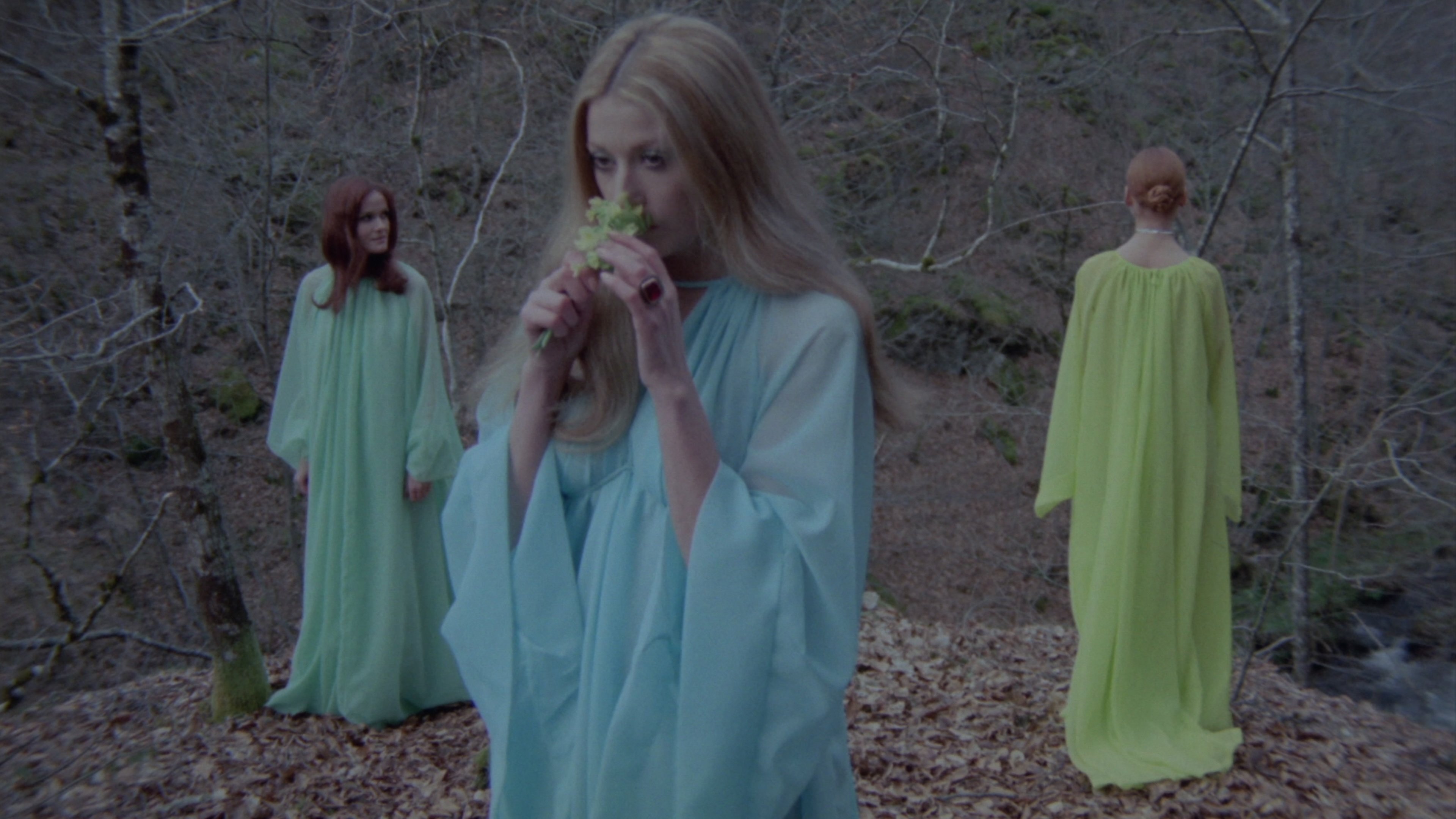 Girl Slaves of Morgana Le Fay Background