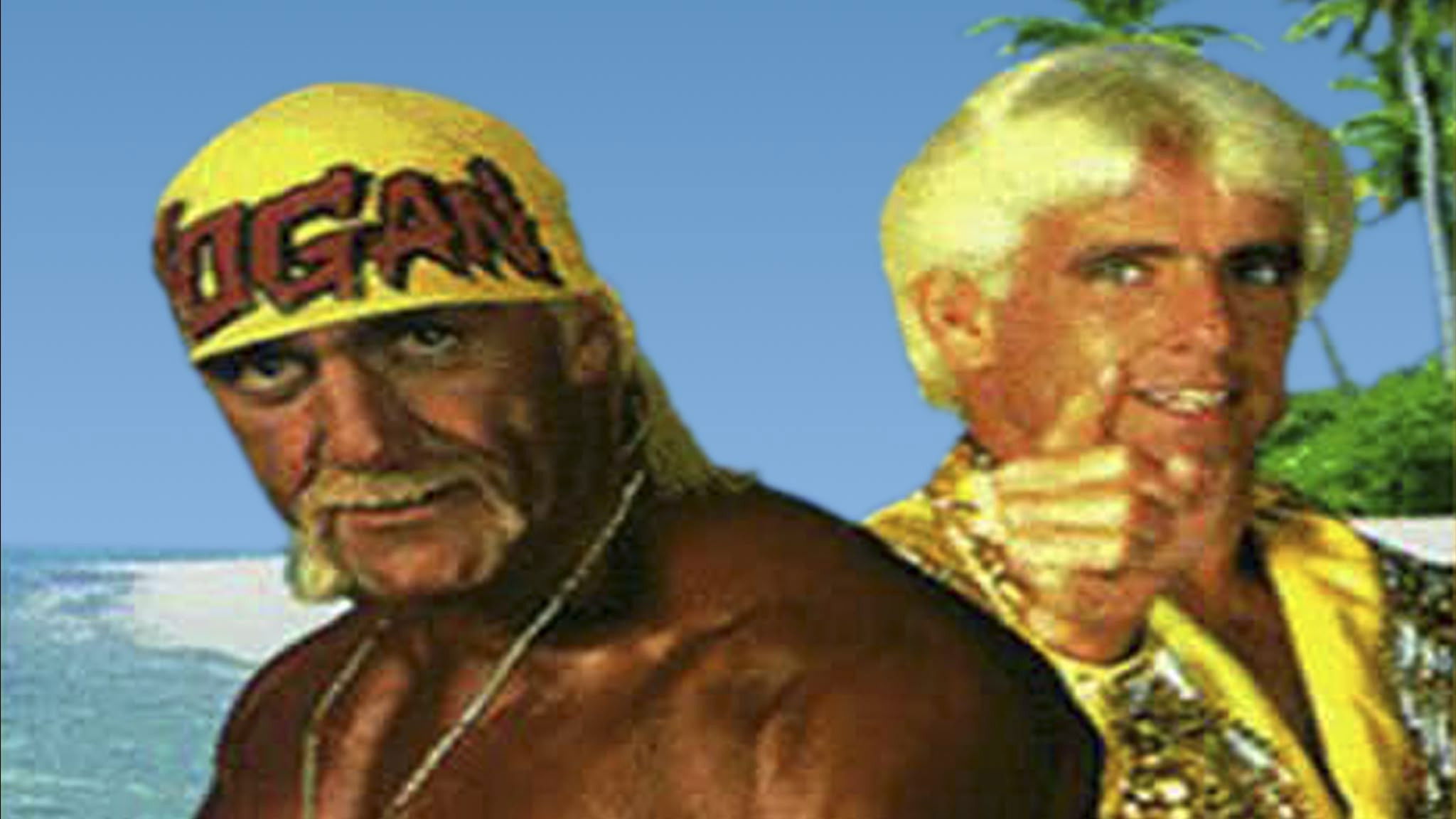 WCW Bash at the Beach 1994 Background