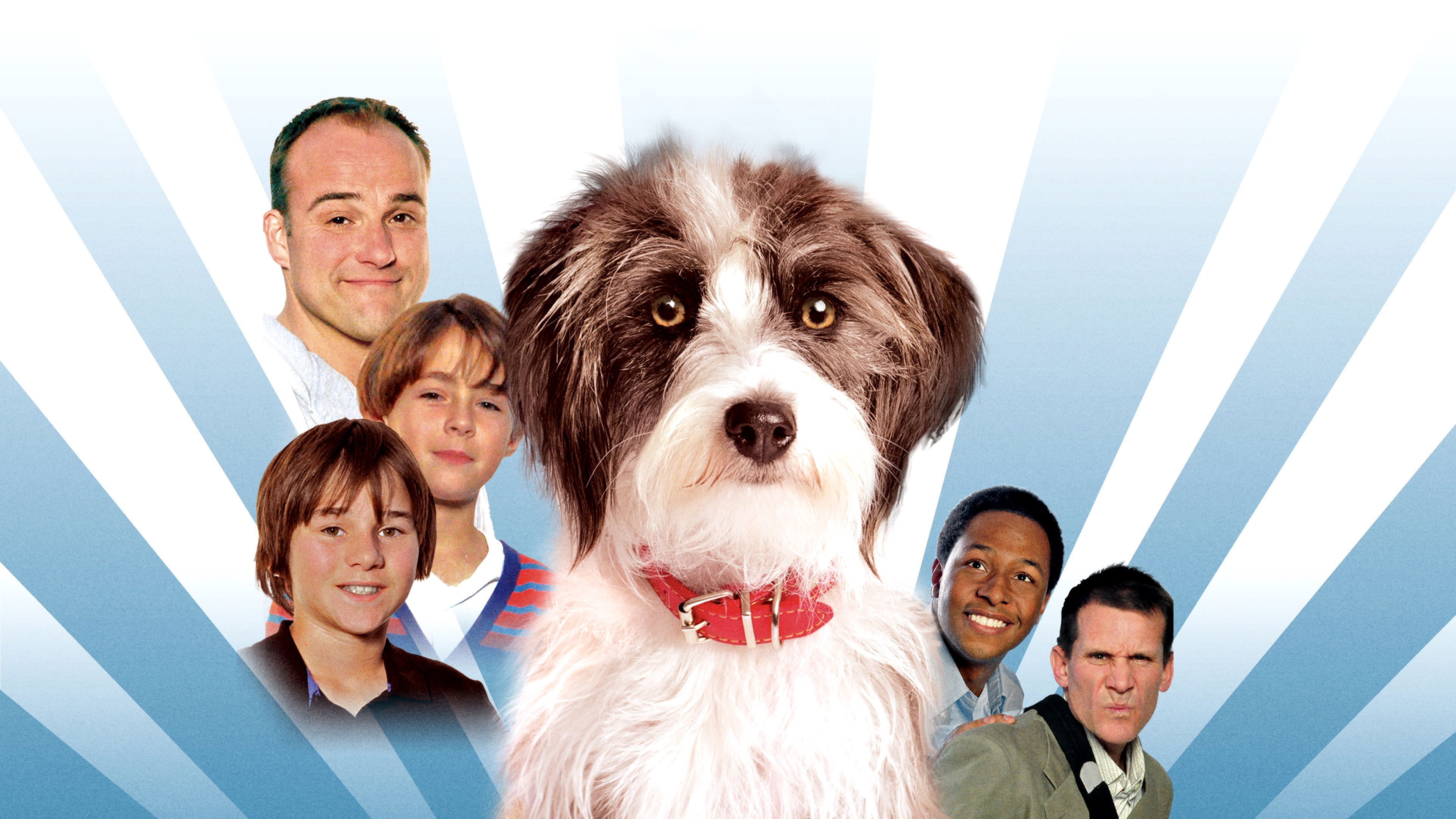 Sox: A Family's Best Friend Background