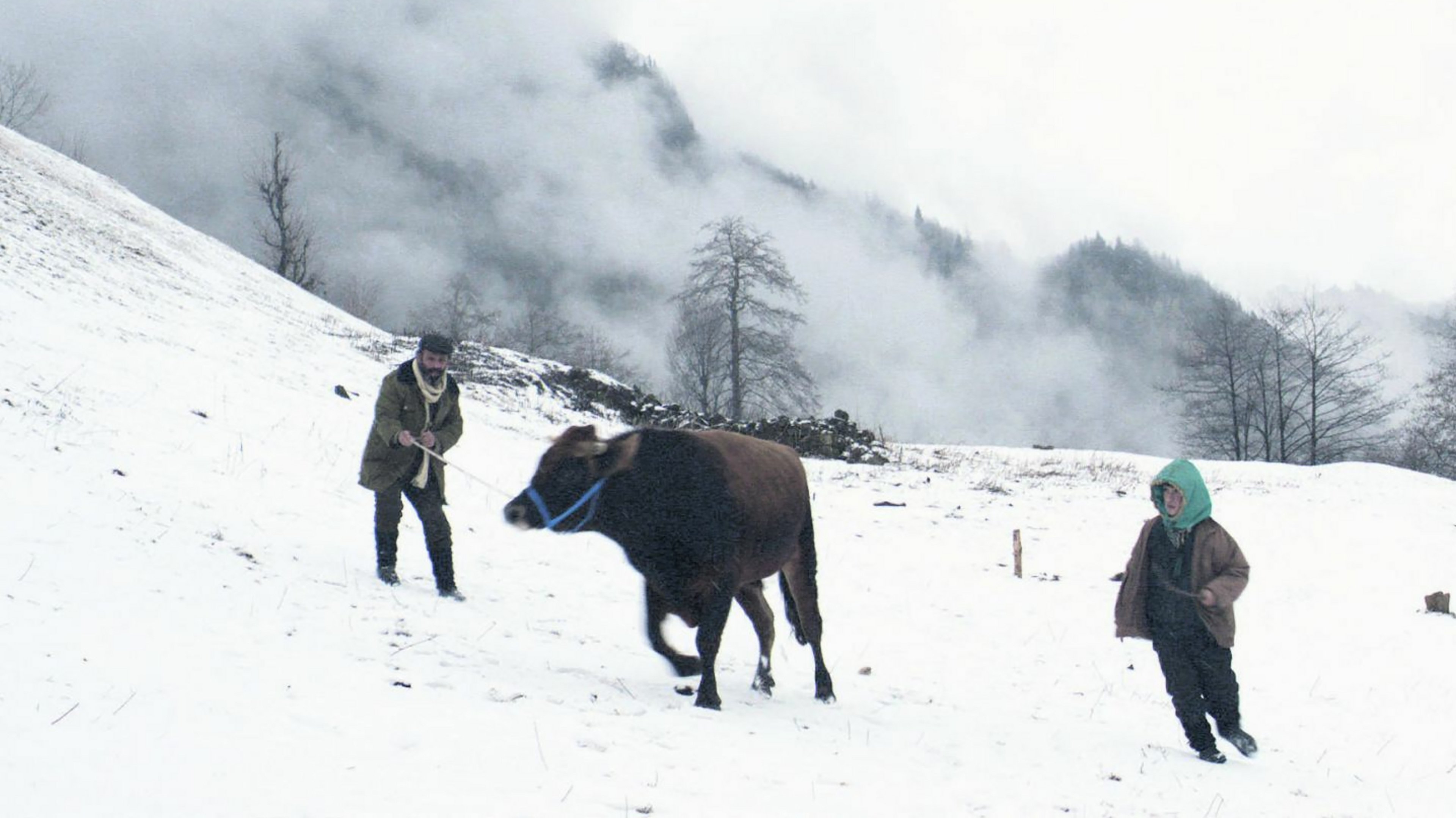 Cold of Kalandar Background