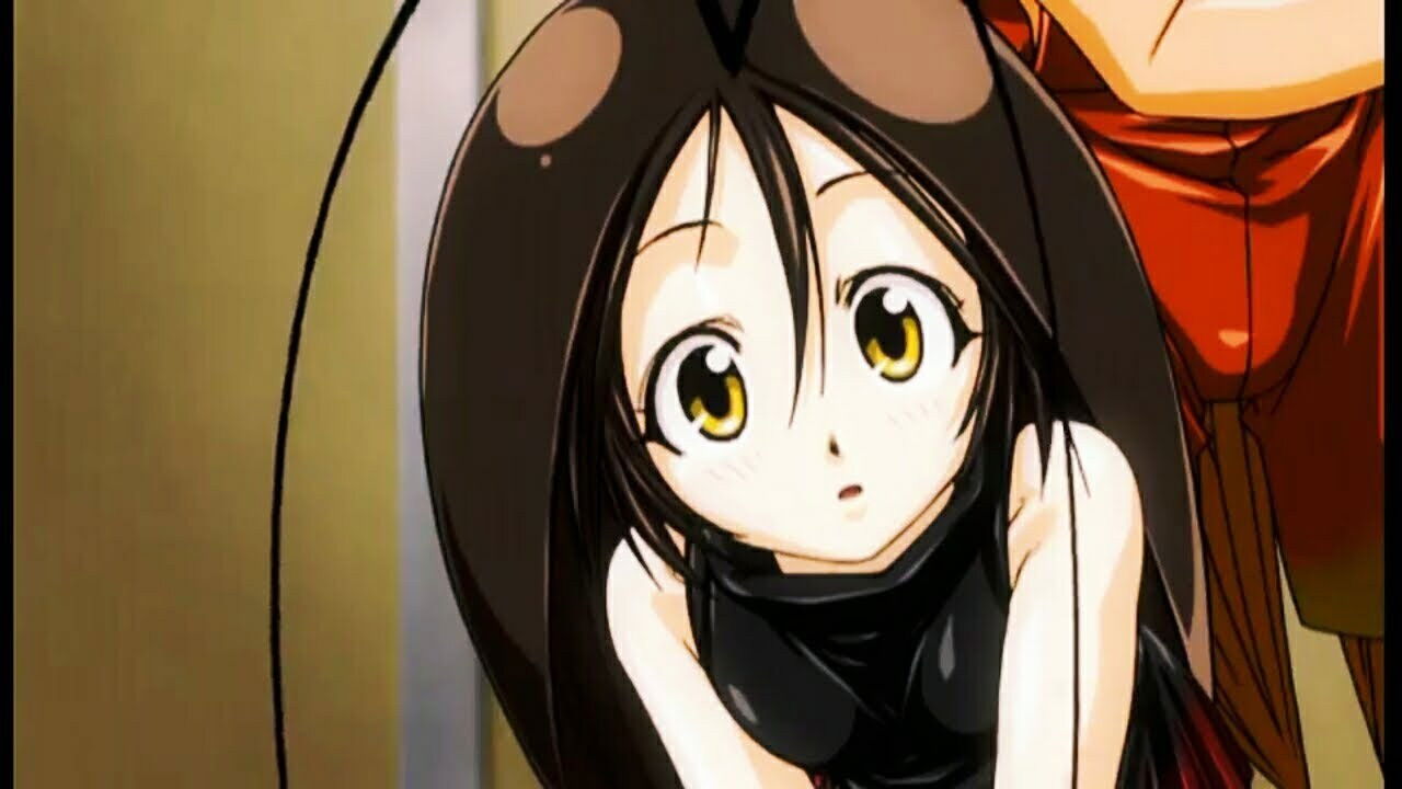 Gokicha!! Cockroach Girl Background