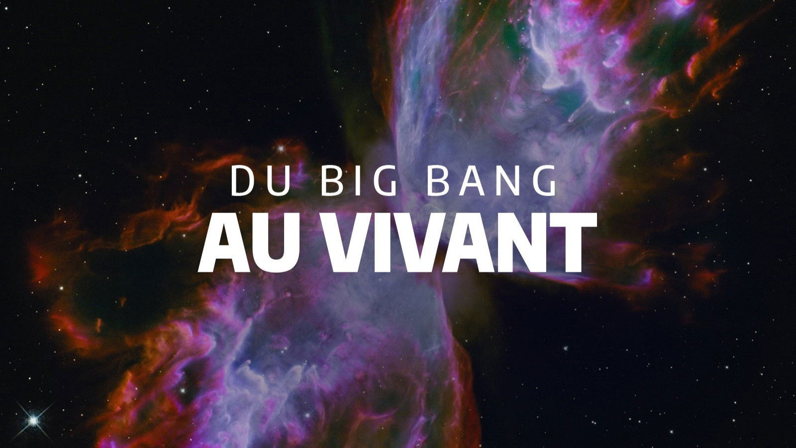 Du Big Bang au vivant Background