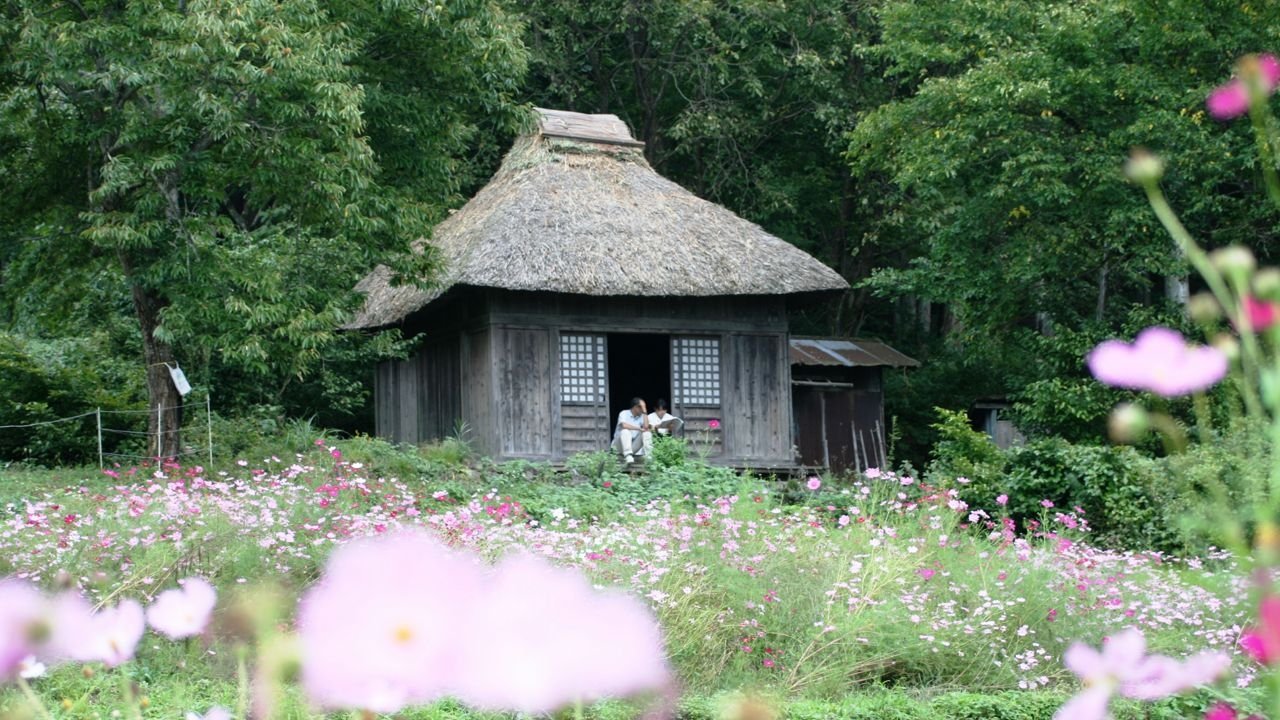 Letter from the Mountain Background