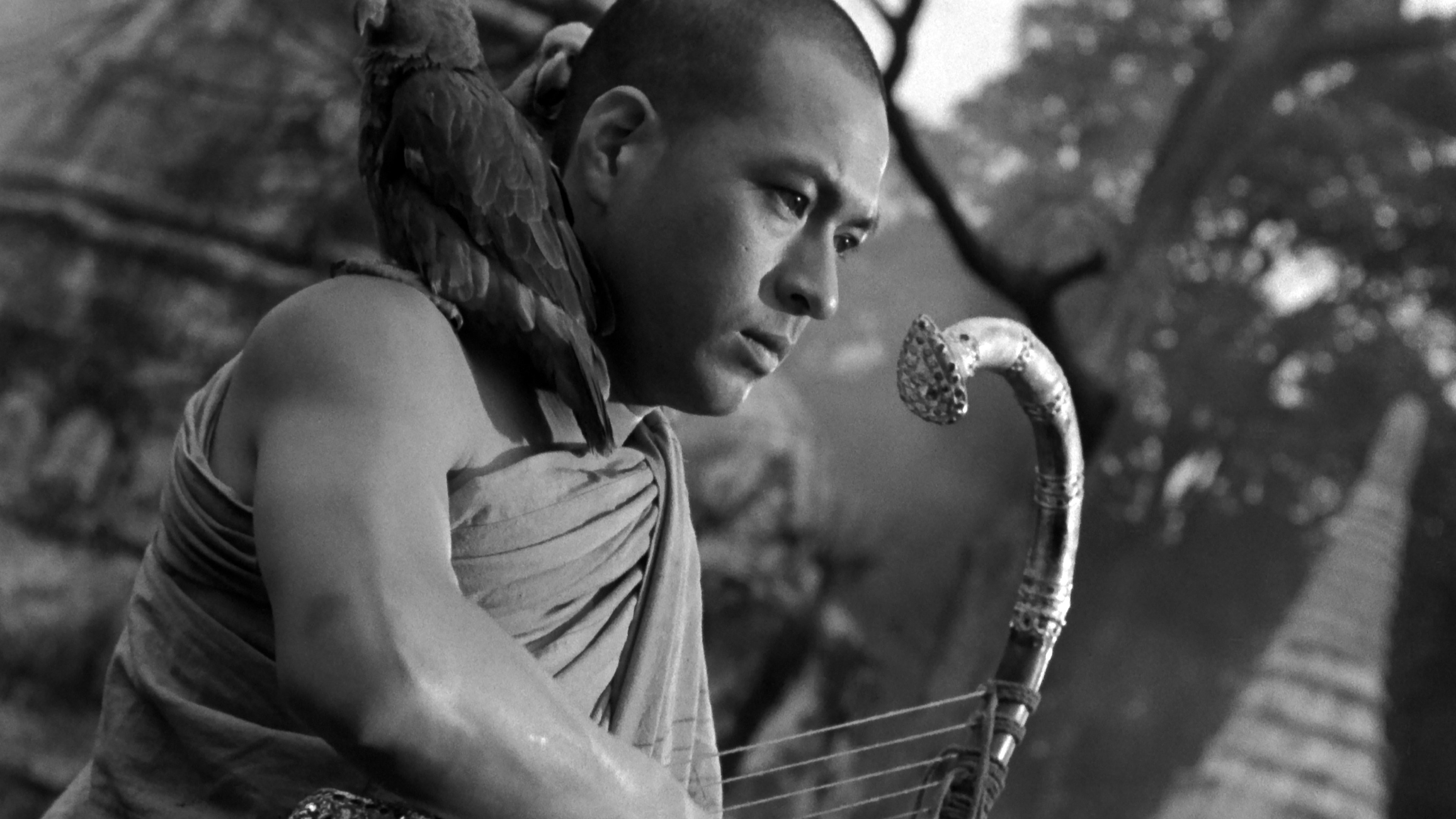 The Burmese Harp Background