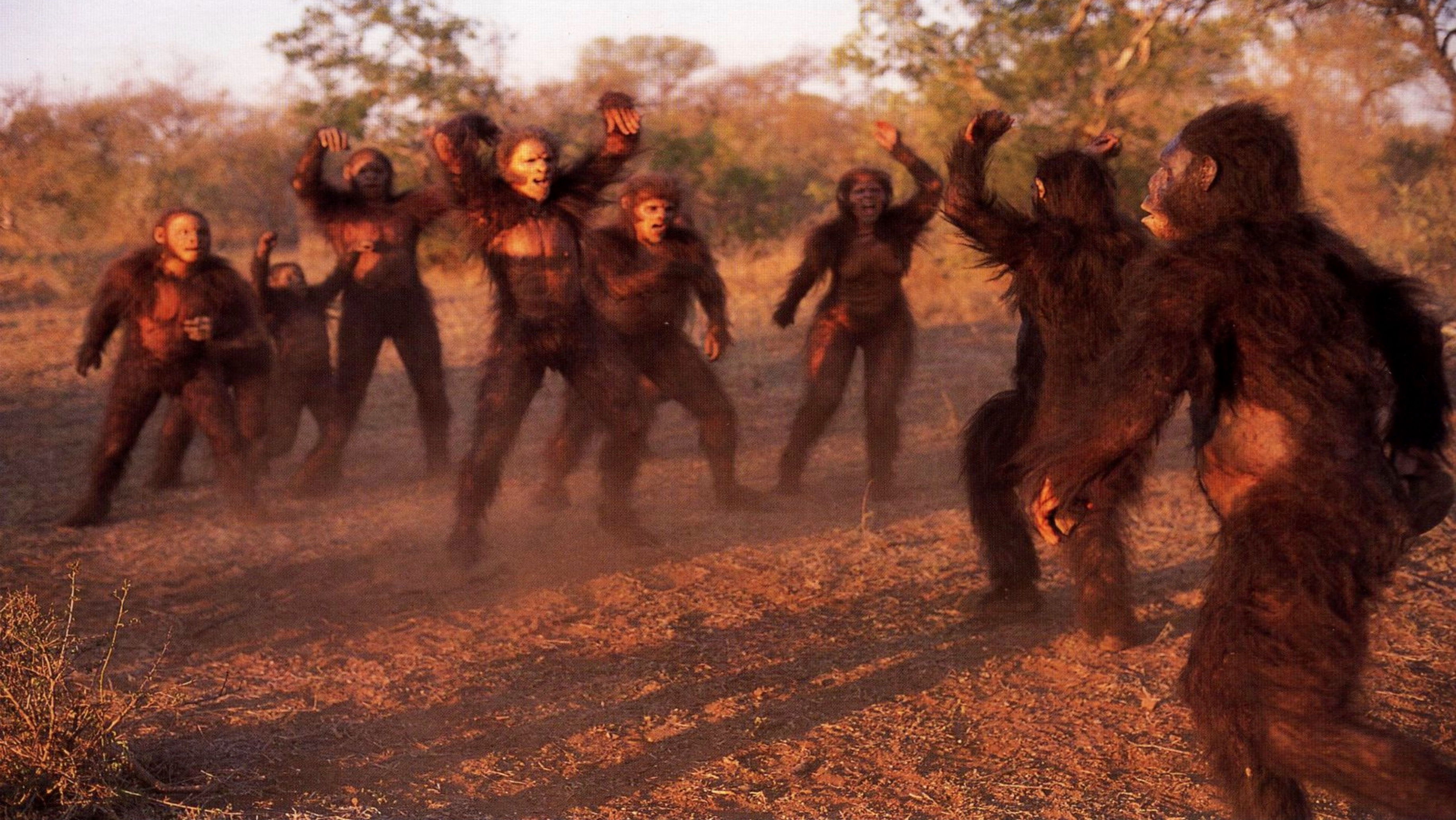 Walking with Cavemen Background