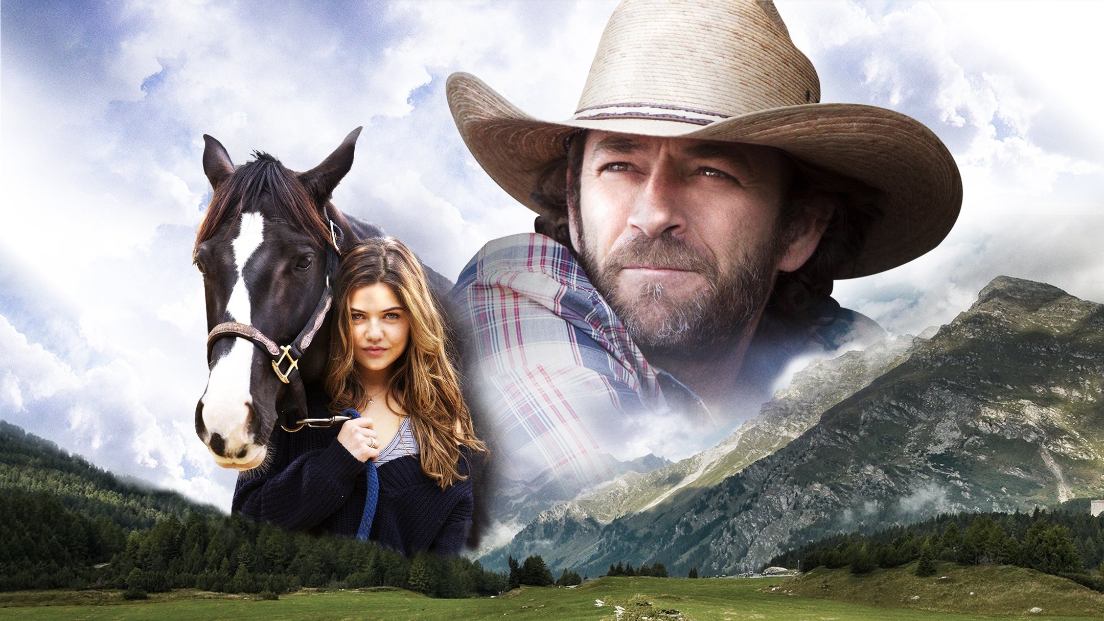 Race To Win Background