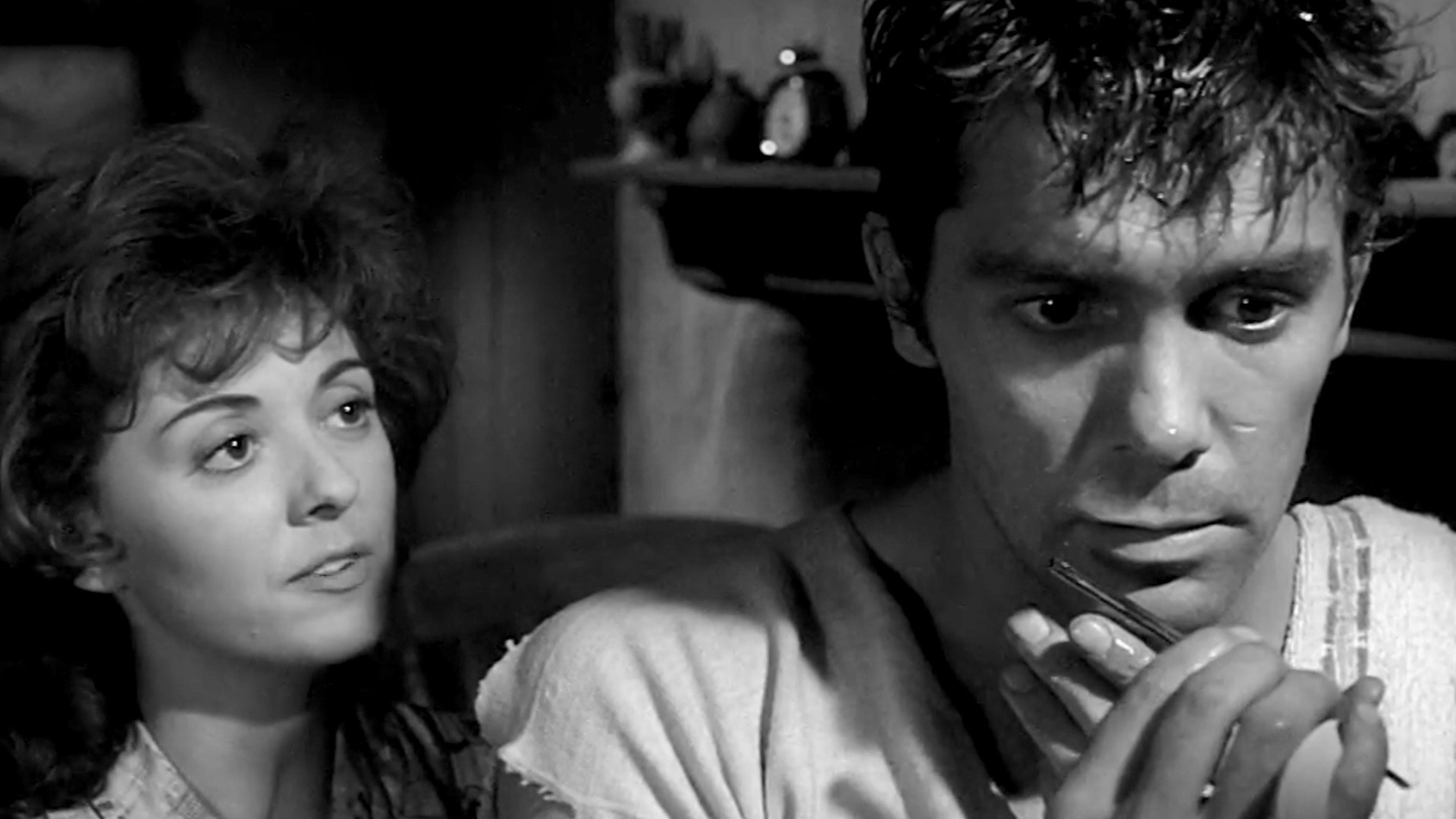 October Moth Background