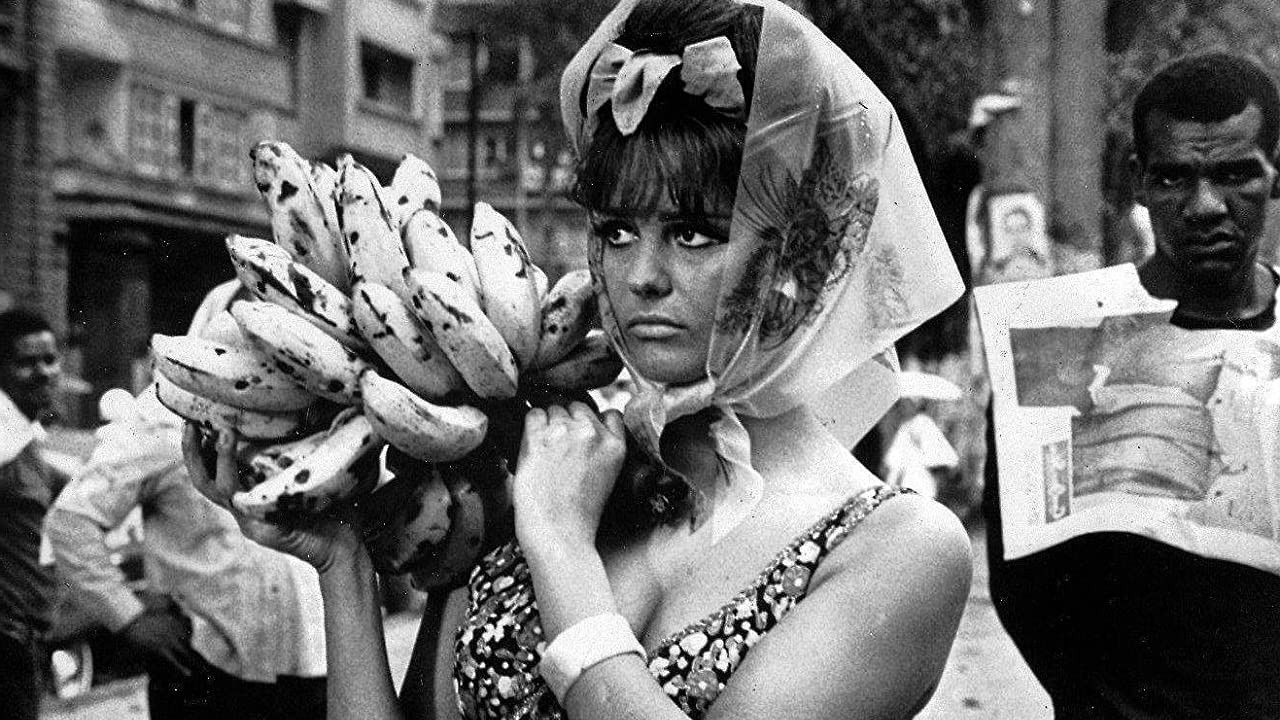 A Rose for Everyone Background