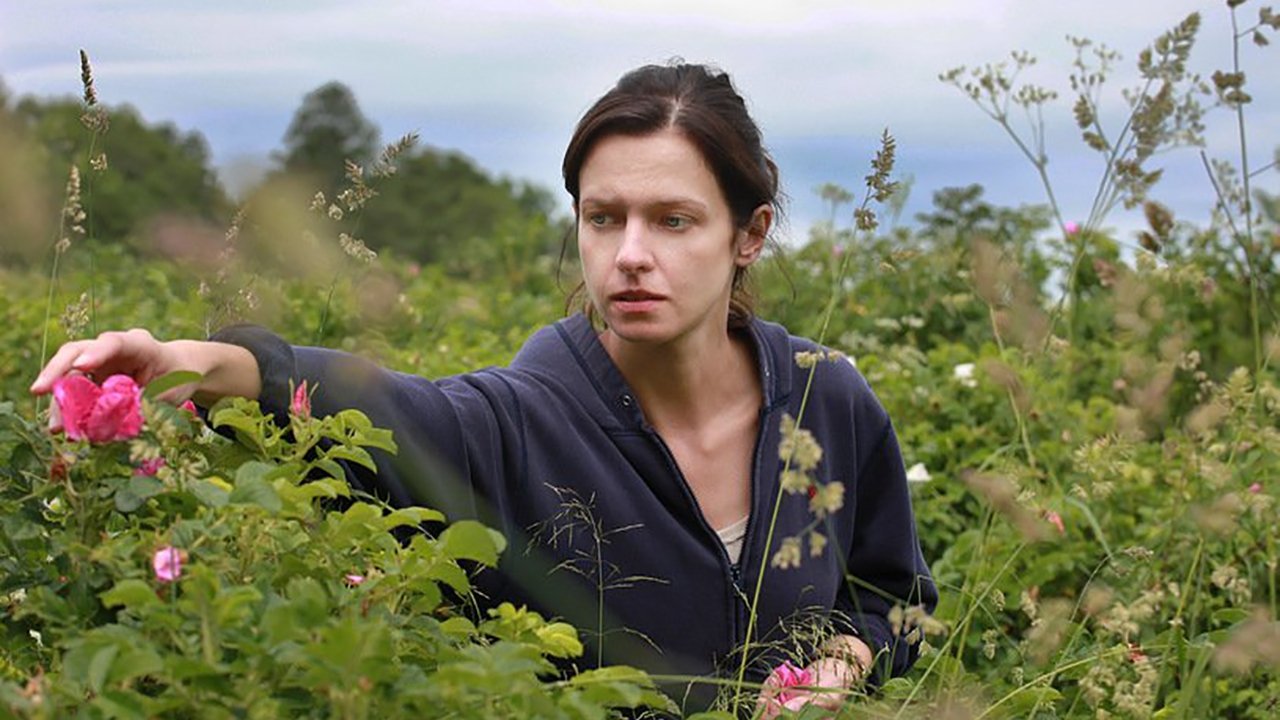 Wild Roses Background