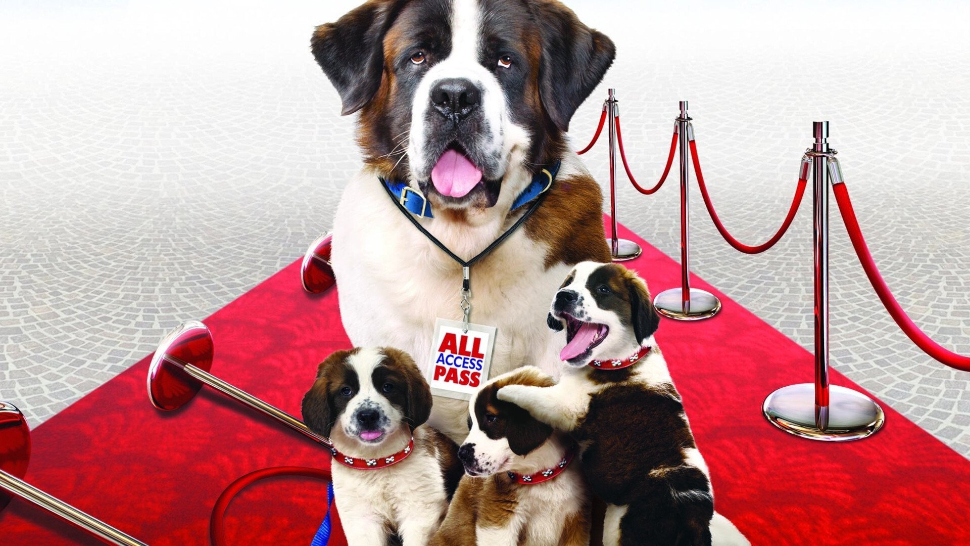 Beethoven's Big Break Background