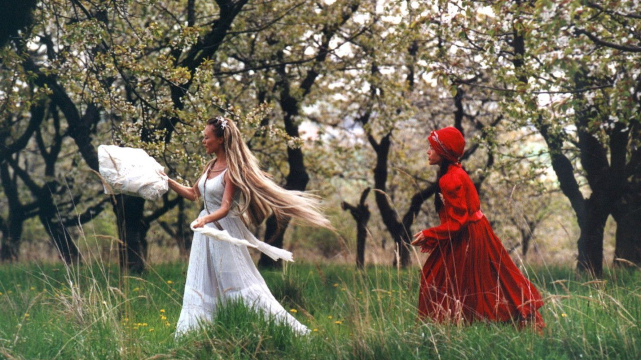 Wild Flowers Background