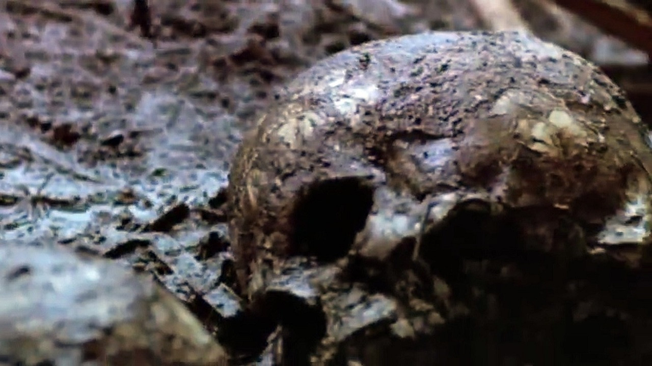 The Riverman Background