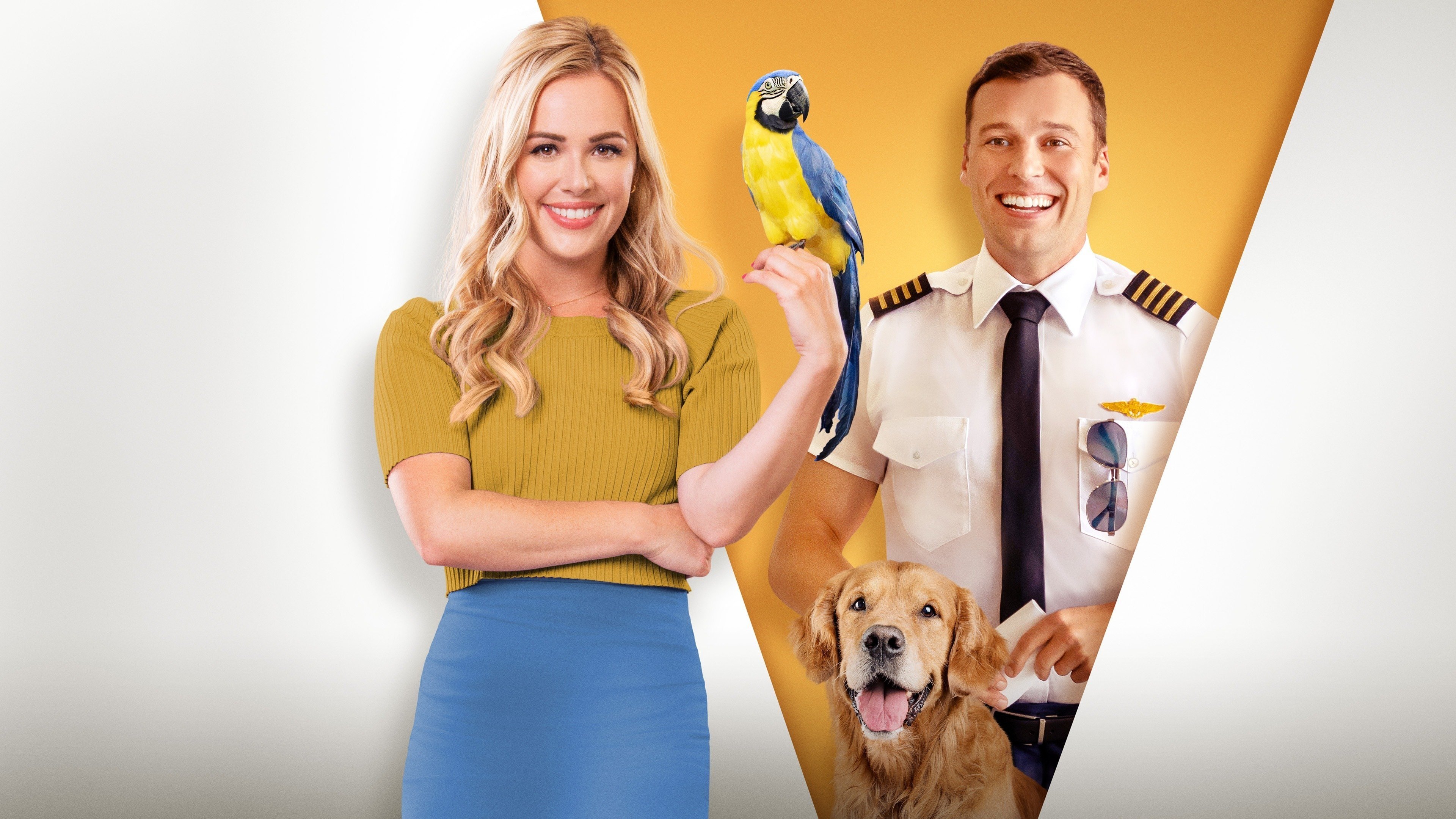 Fly Away With Me Background