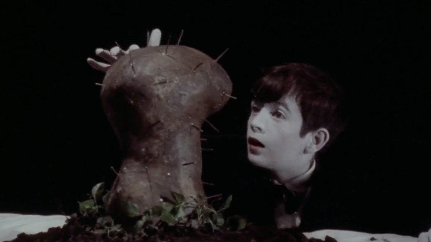 The Grandmother Background