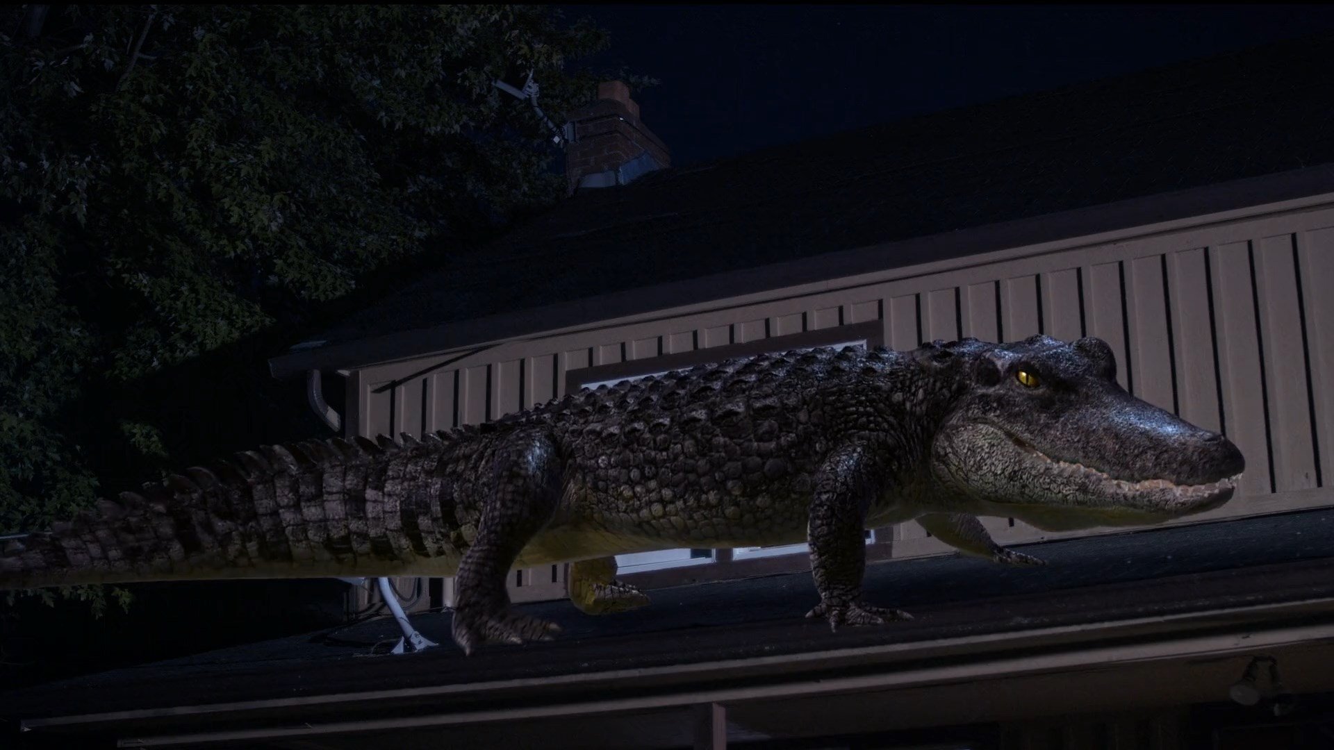 Bad CGI Gator Background