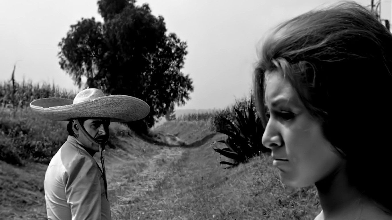 Cruces Sobre el Yermo Background