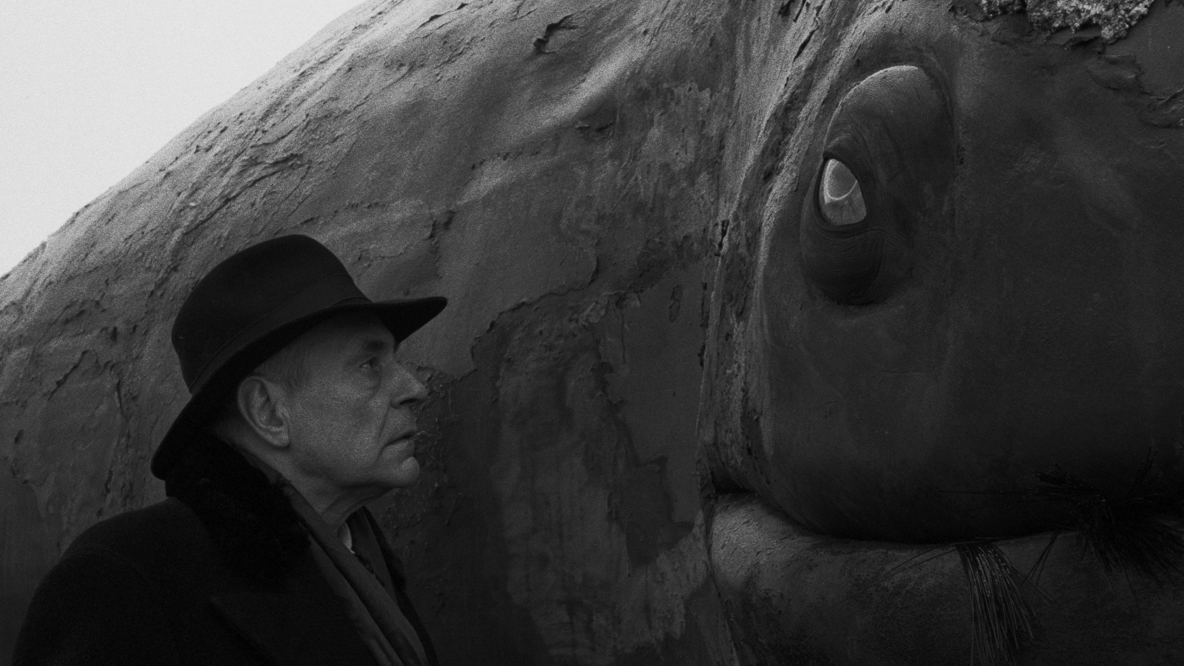 Werckmeister Harmonies Background