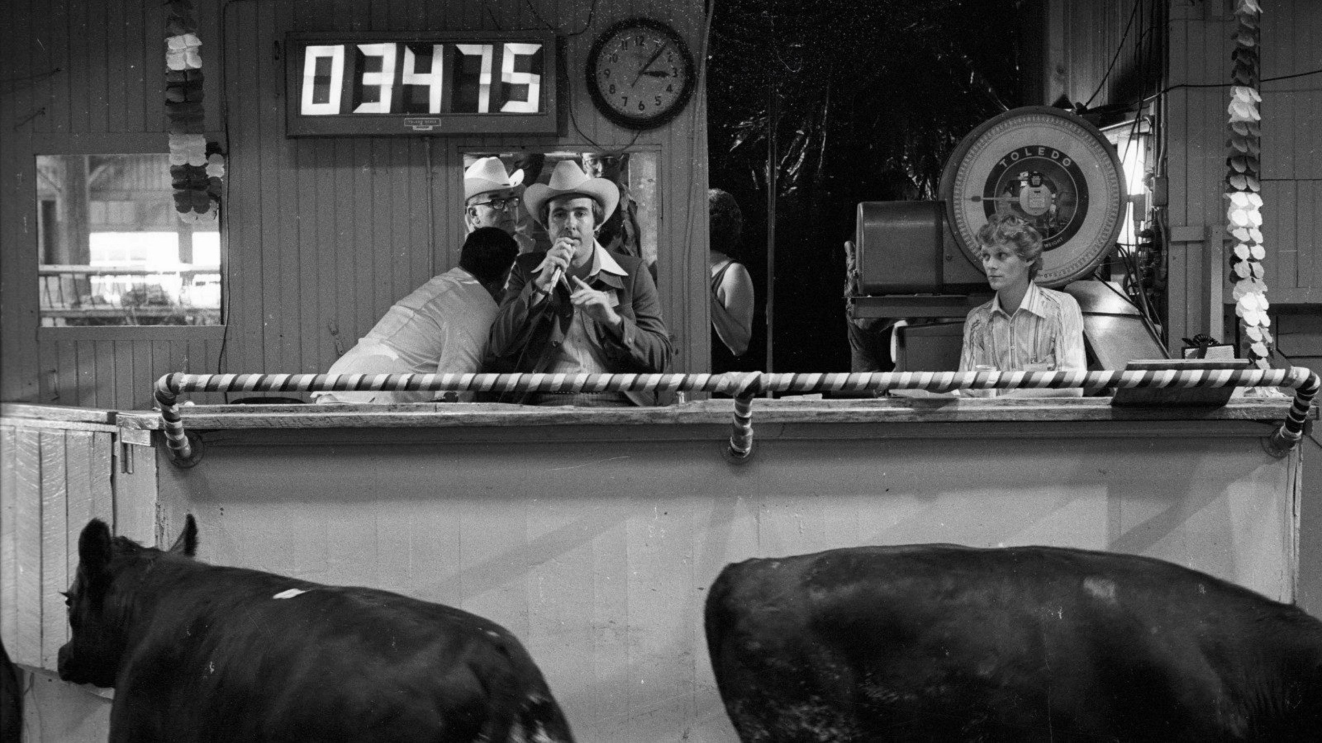 How Much Wood Would a Woodchuck Chuck Background