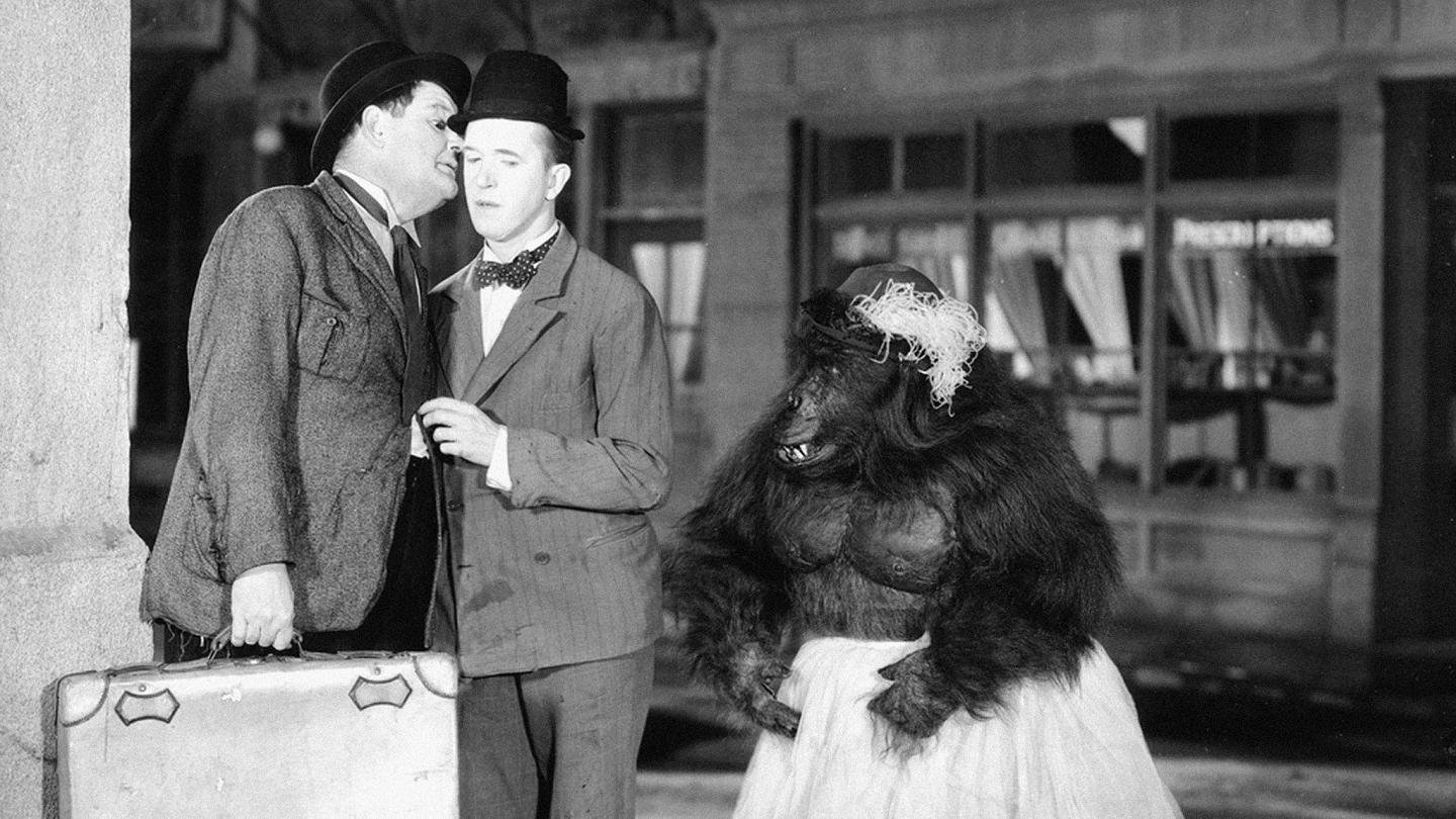 The Chimp Background