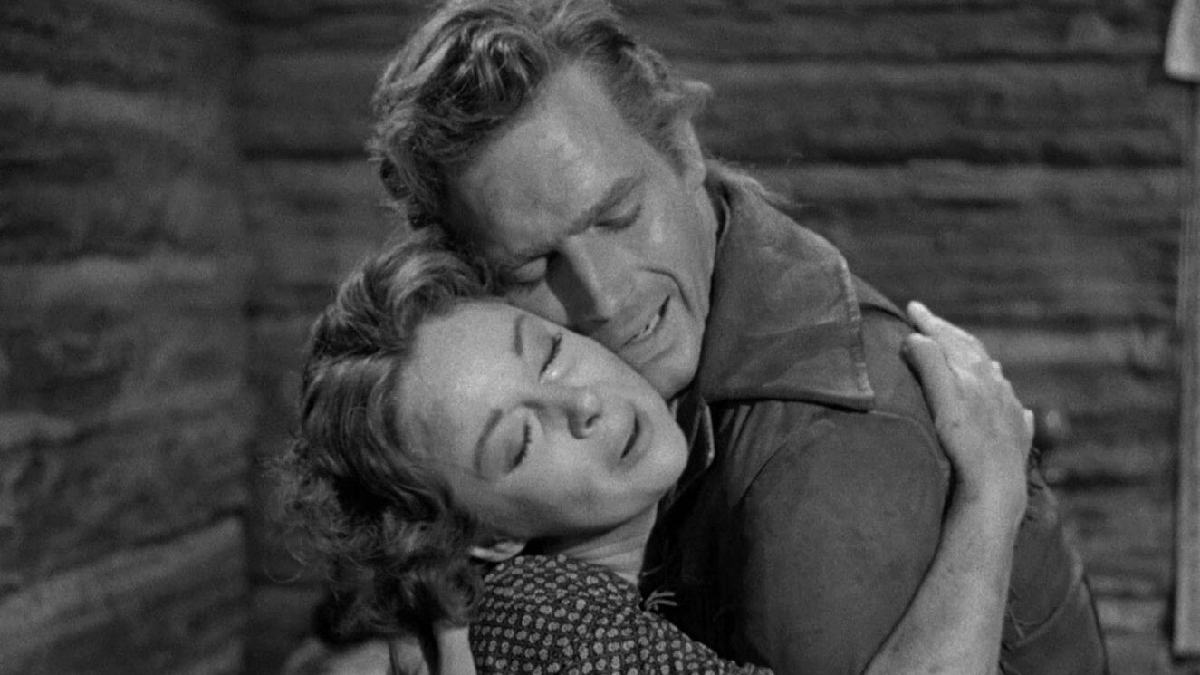 The President's Lady Background