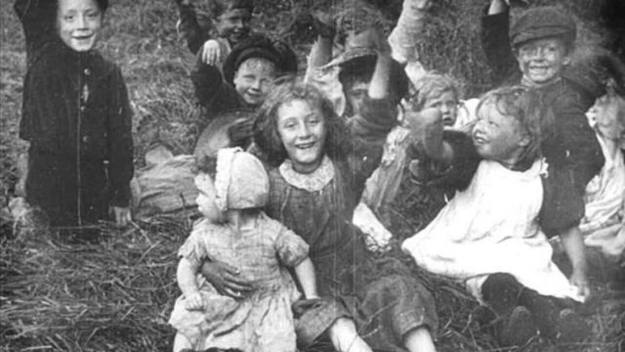 A Day in the Hayfields Background