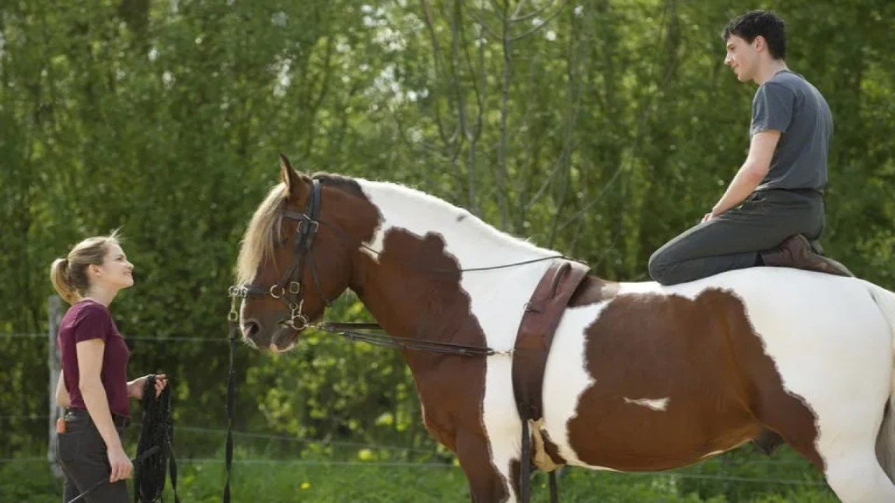 Falling for Love Background