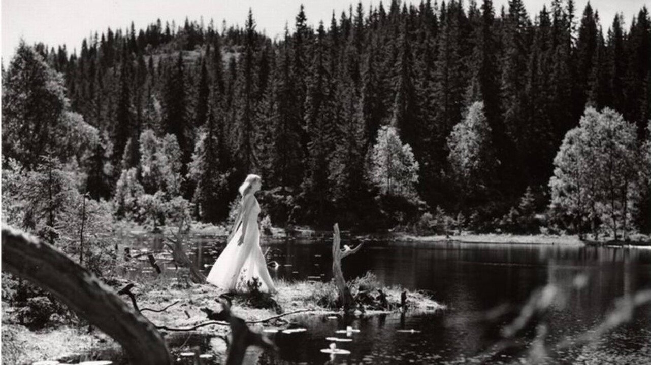 Lake of the Dead Background