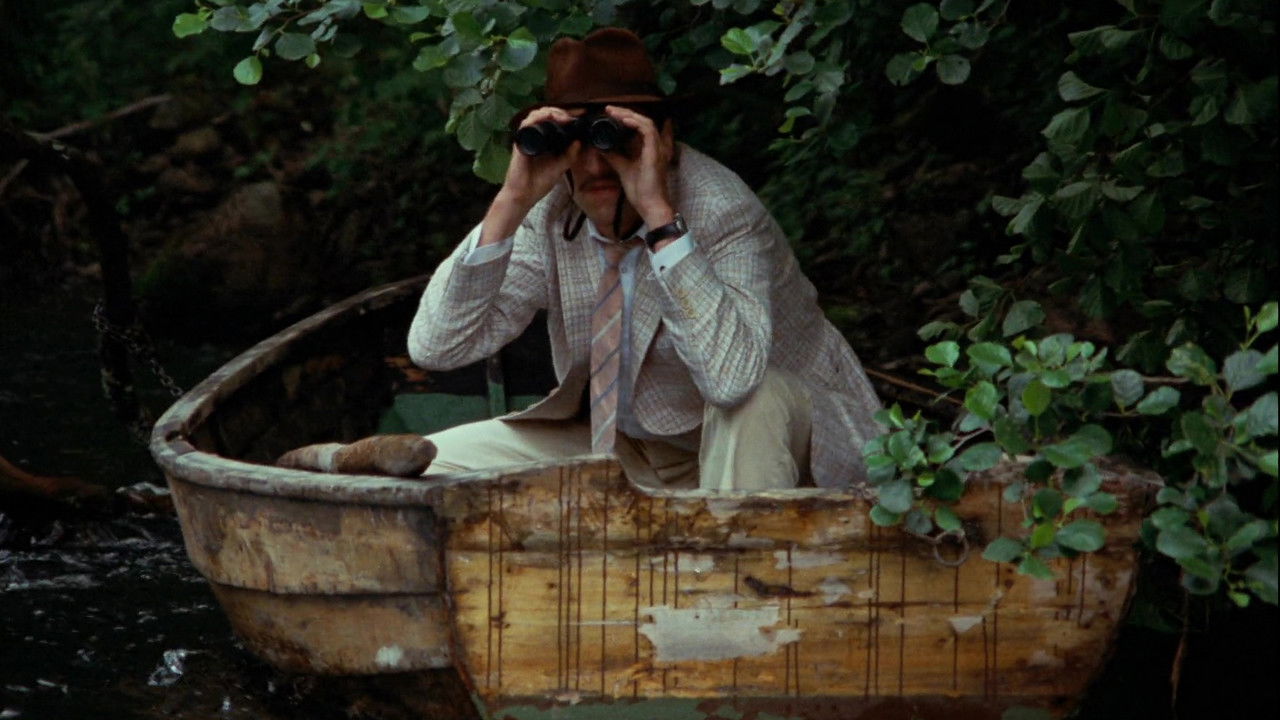 The Rooster Background