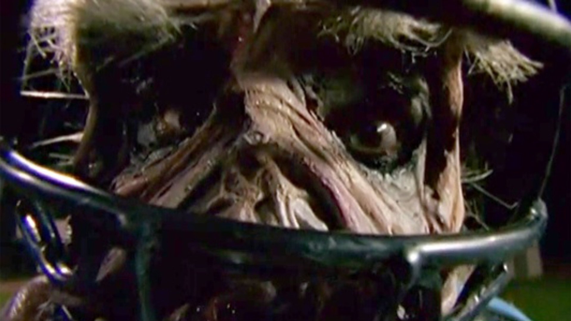 Goosebumps: Chillogy Background