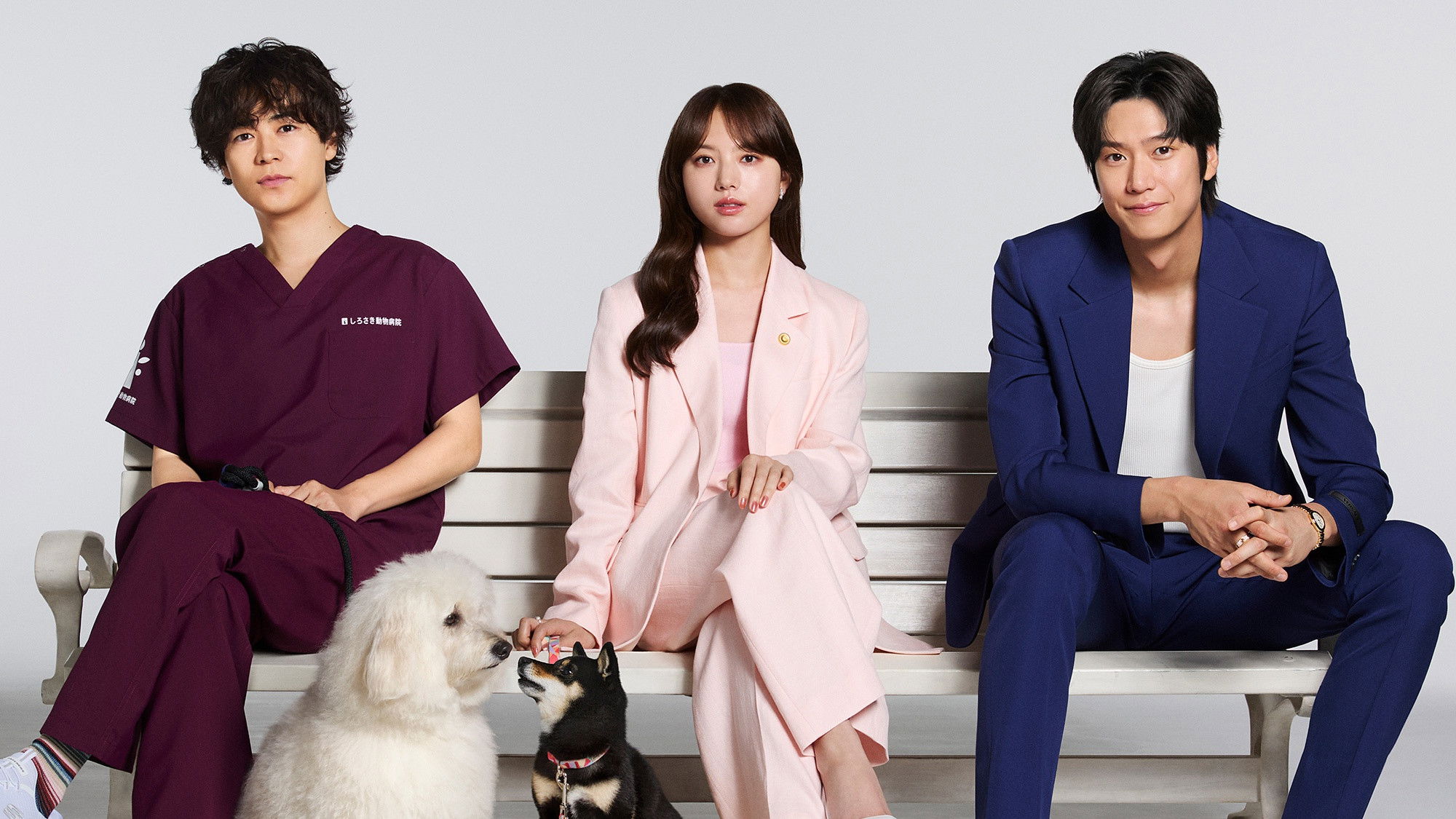 Love Is for the Dogs Background