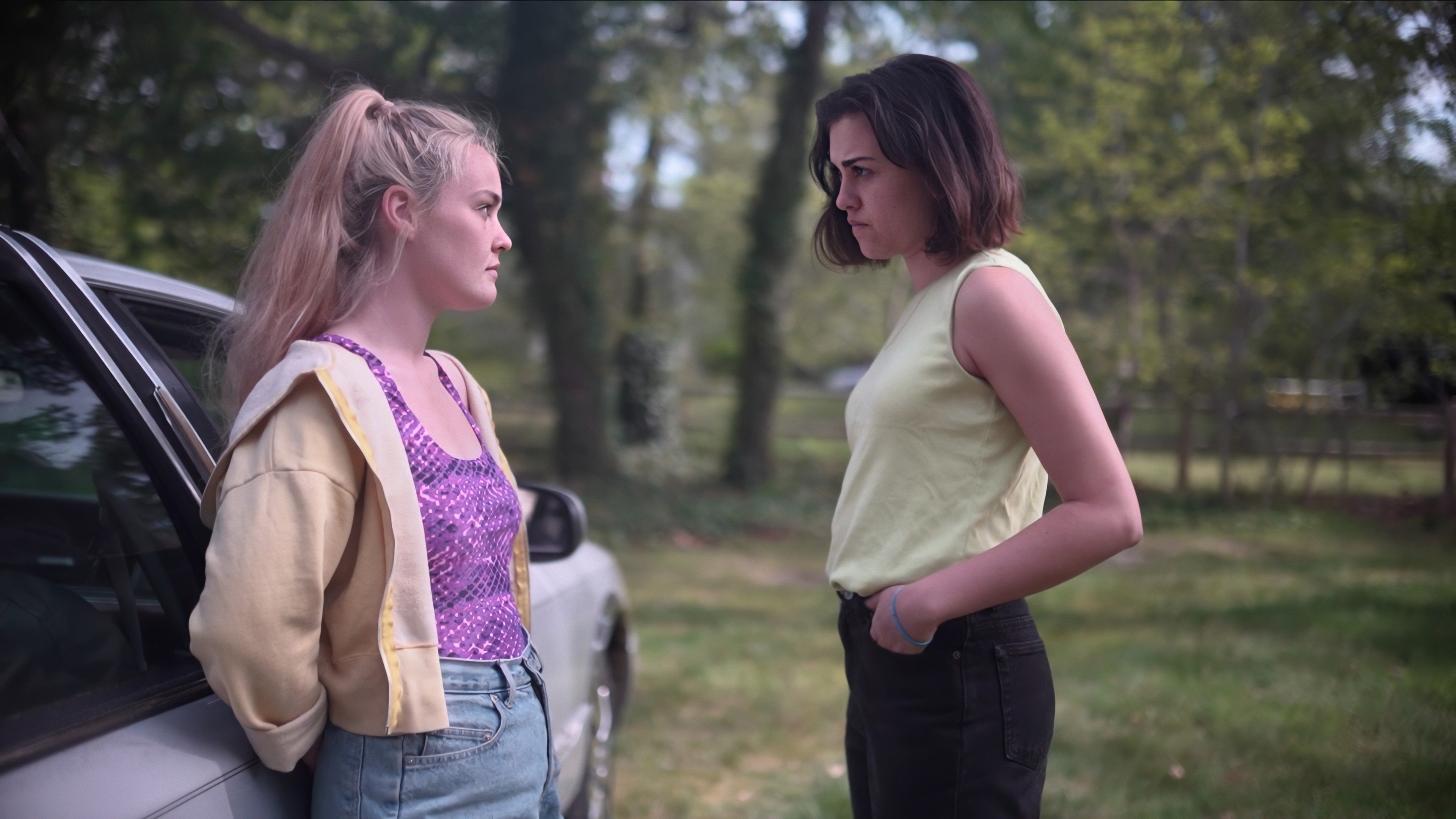 Summer of Mesa Background