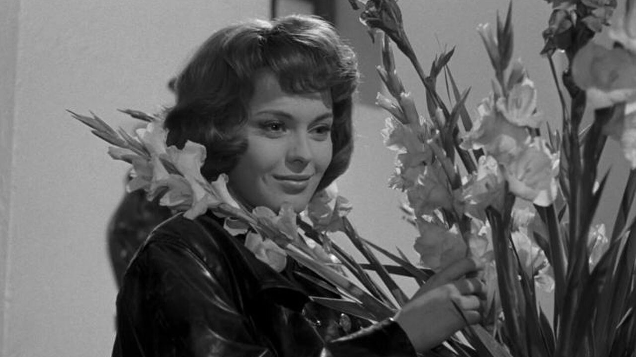 Five Day Lover Background