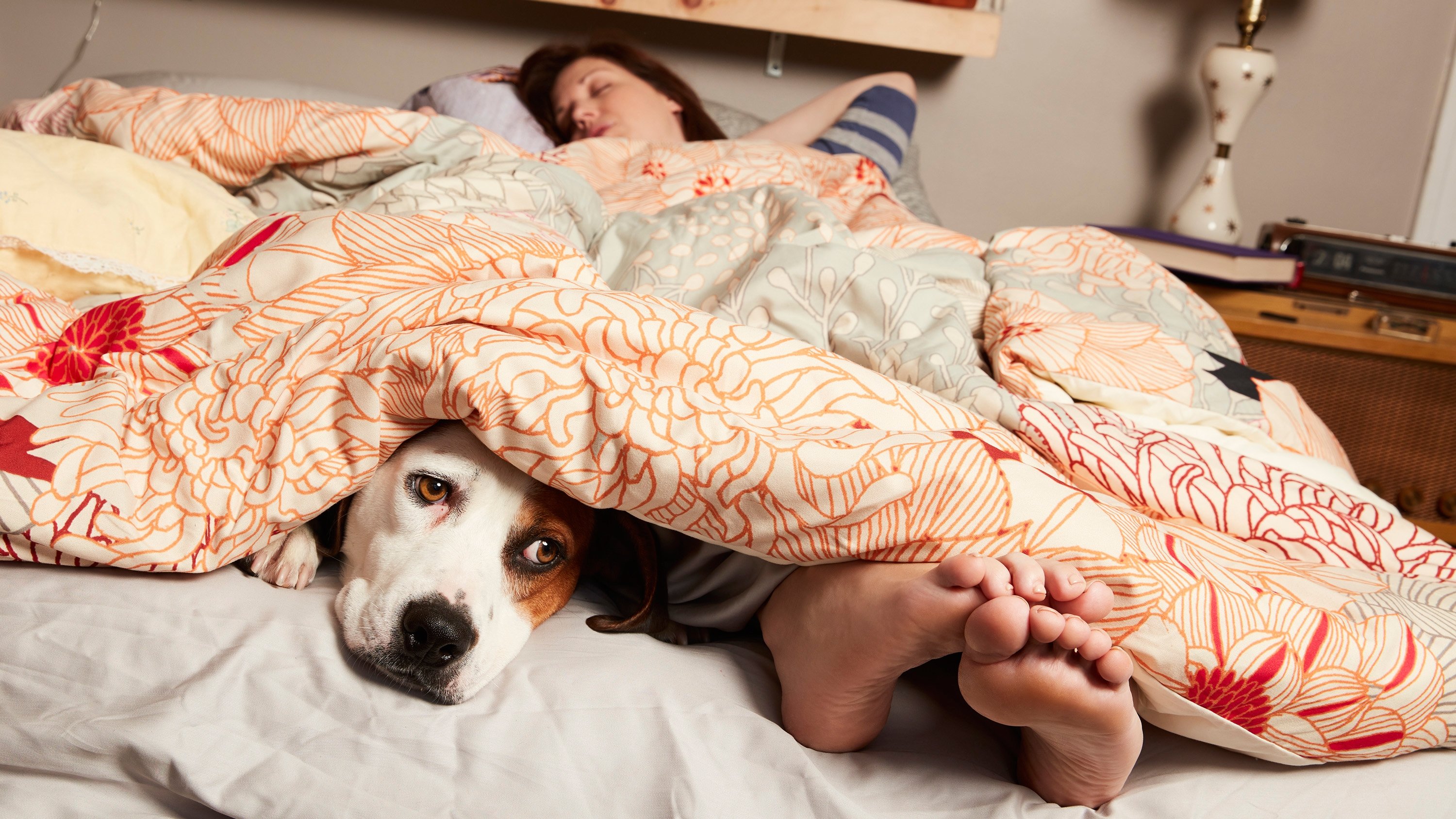 Downward Dog Background