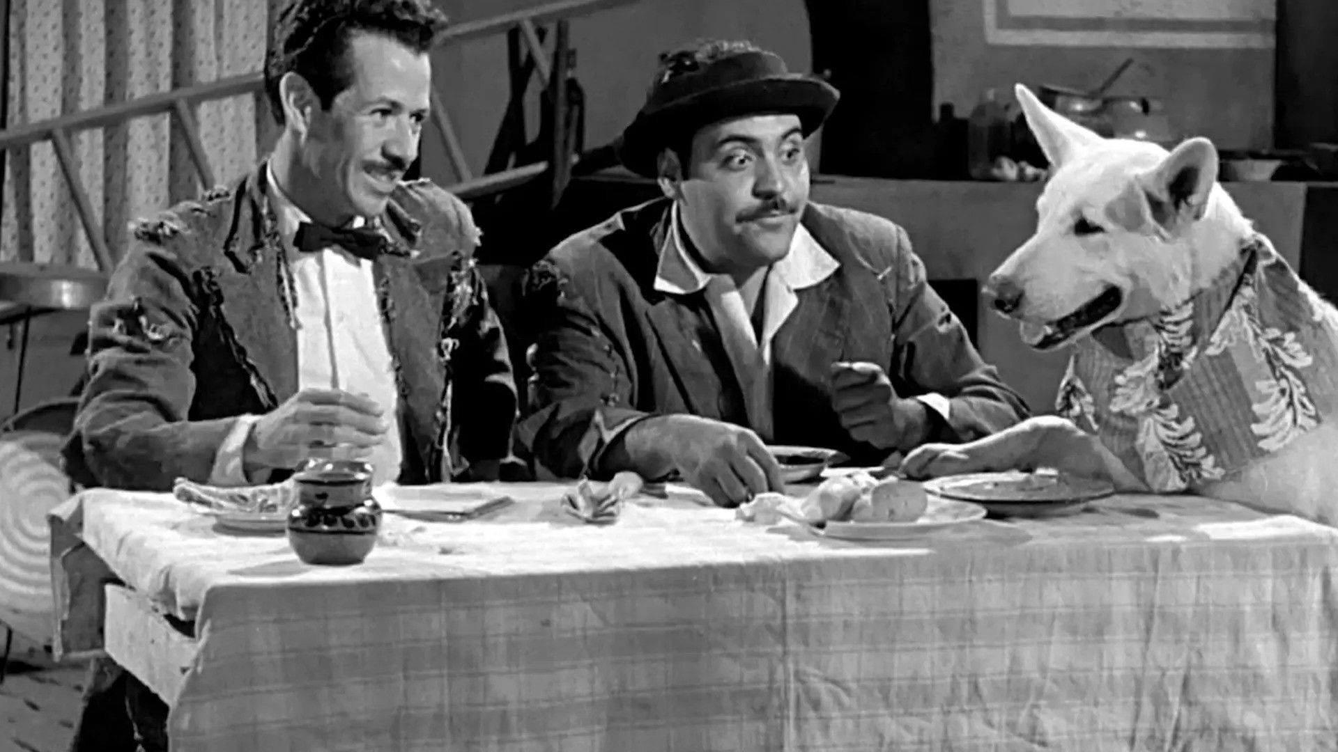 Qué perra vida Background