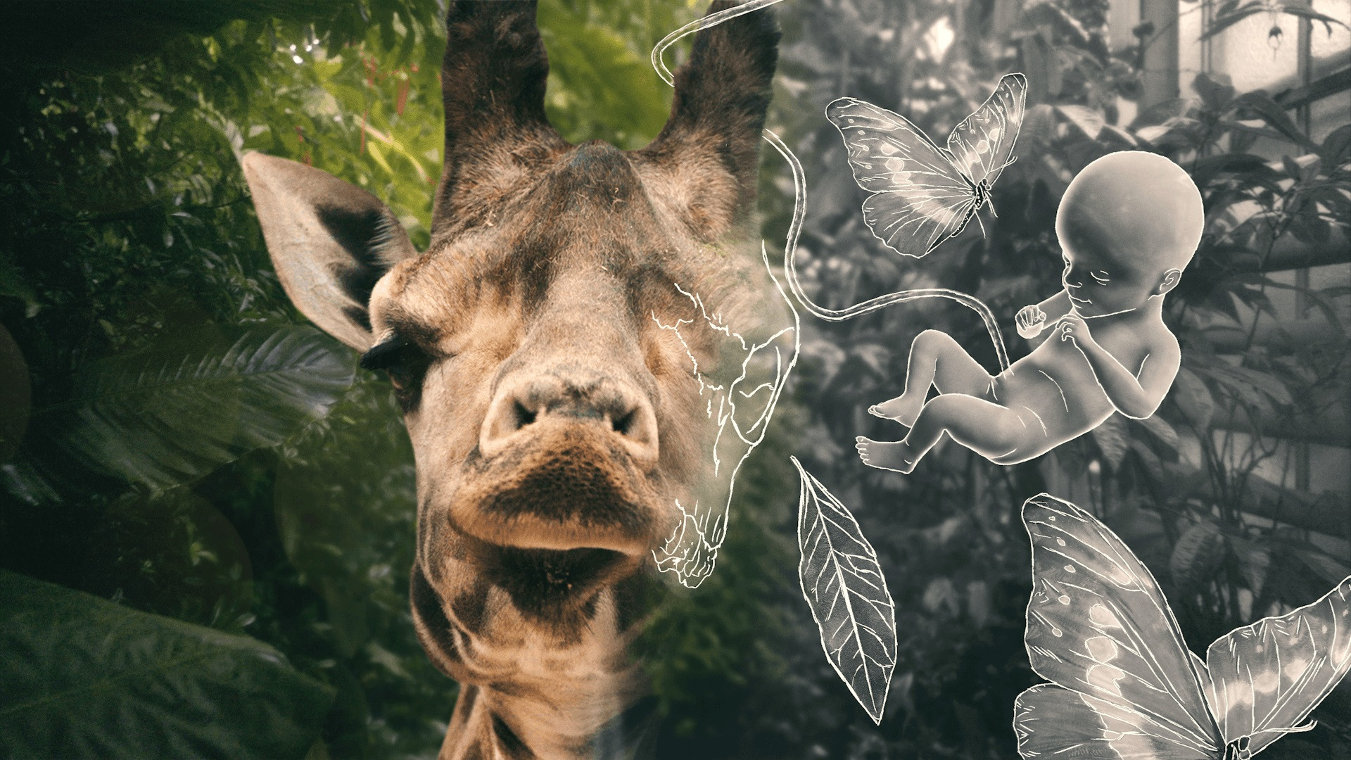 Life and Other Problems Background