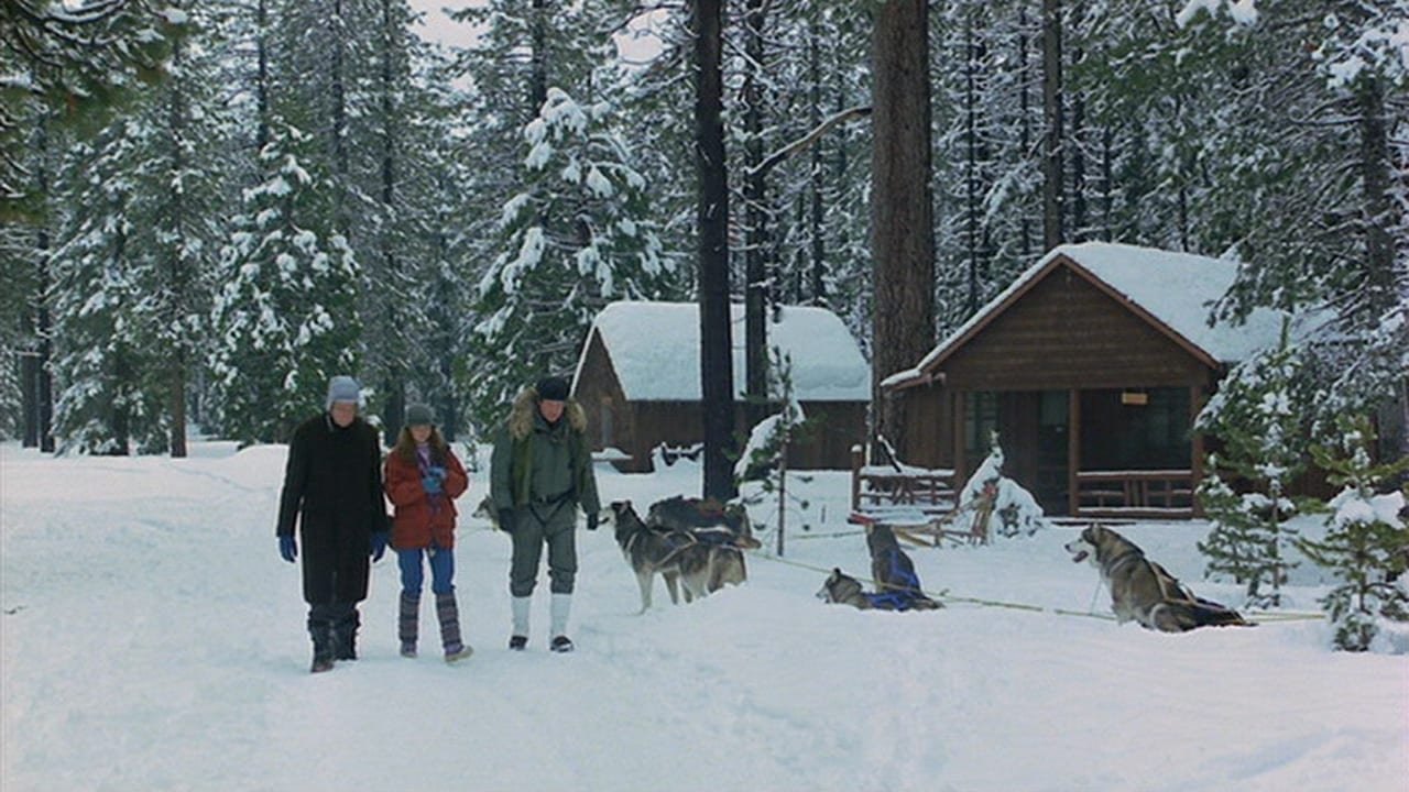 The Survivors Background