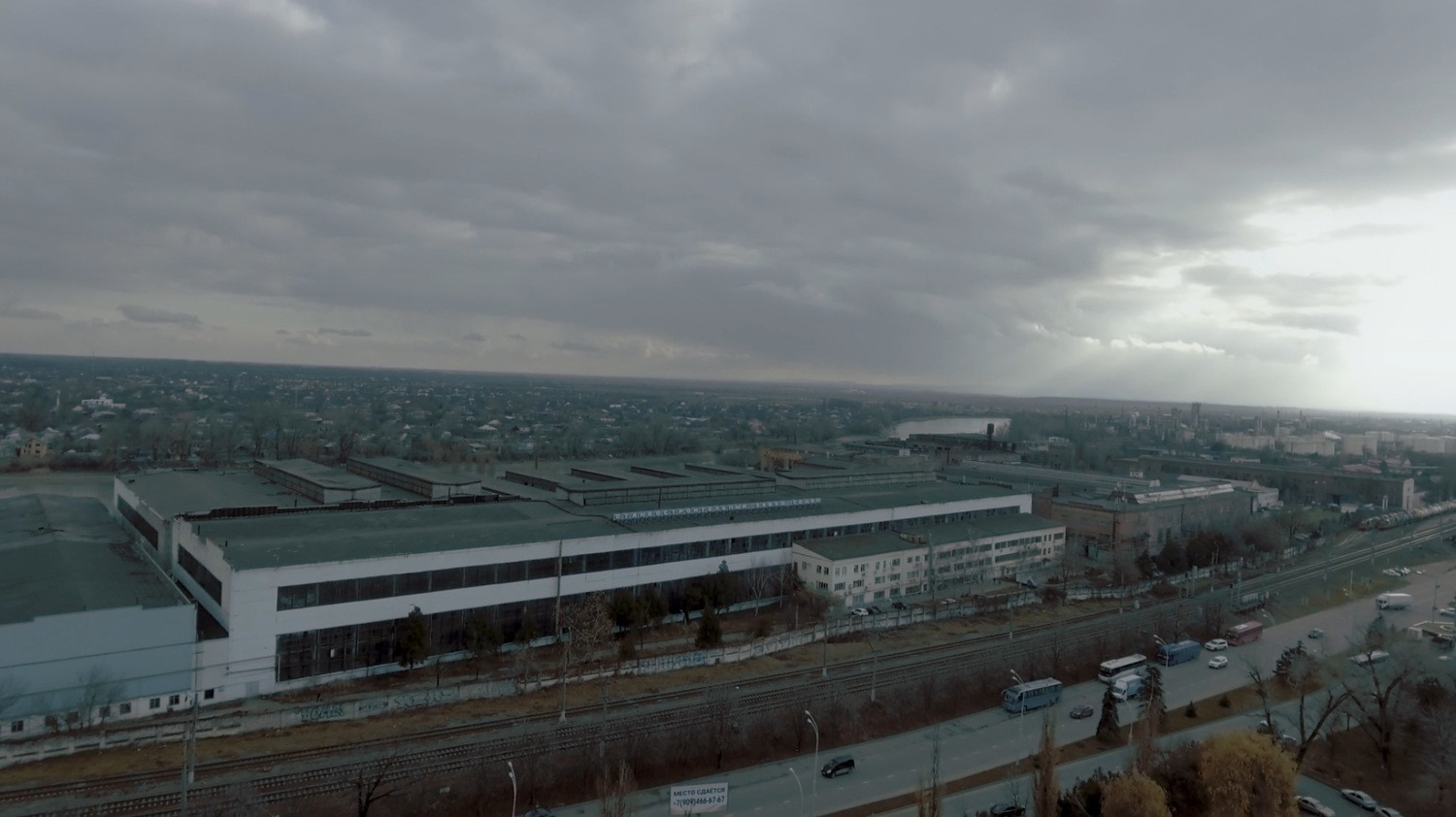 The Plant Background