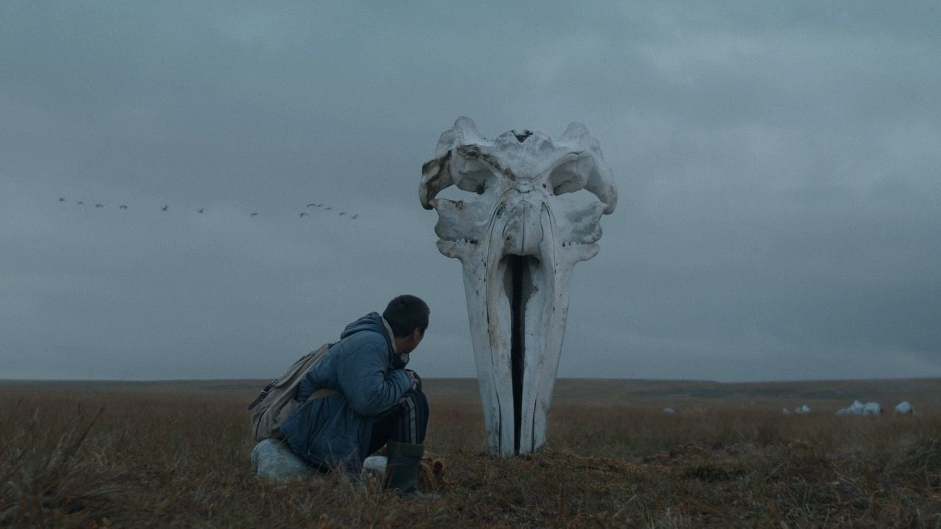 The Whaler Boy Background